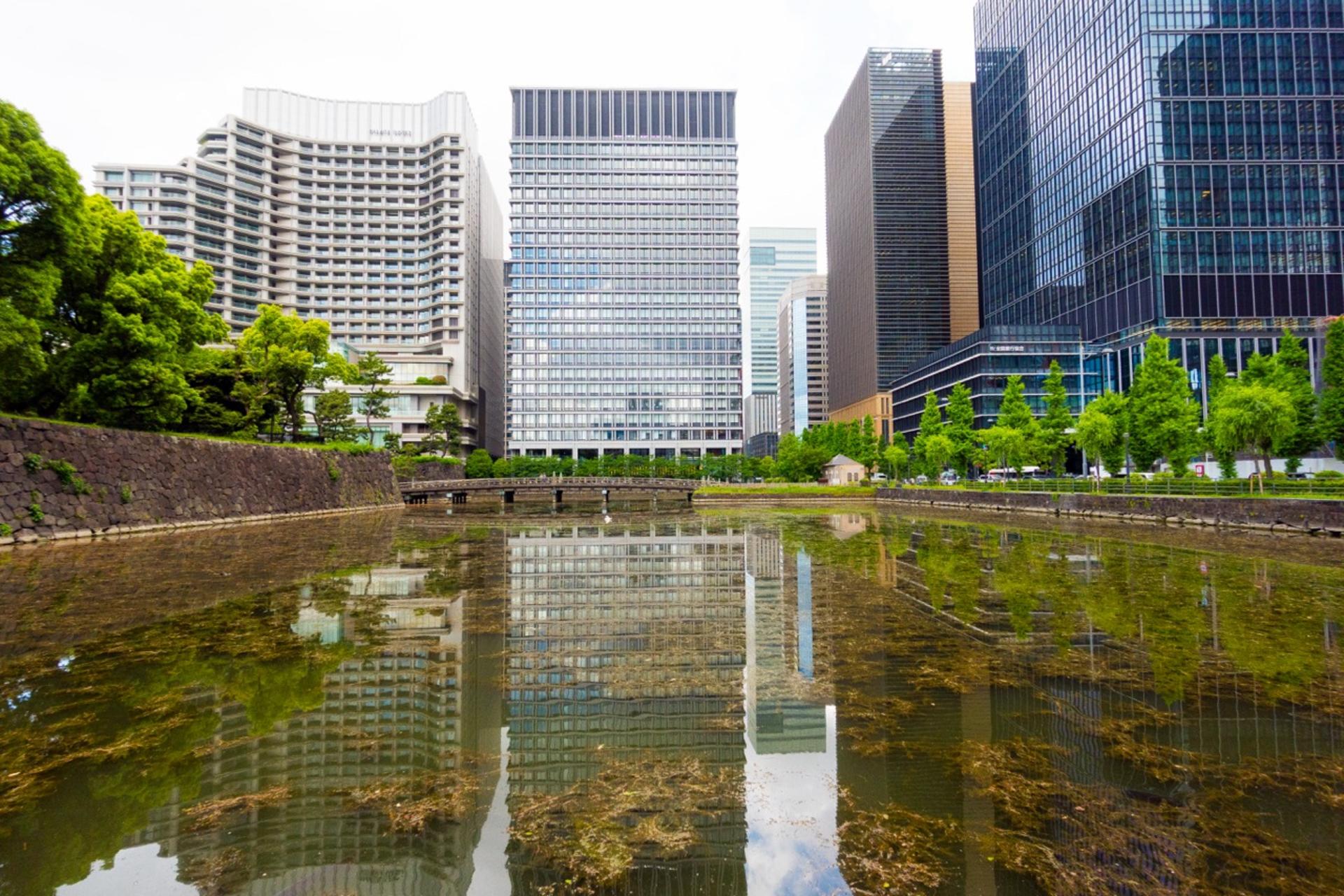 Tokyo: Imperial Palace & Shogun Castle Walking Tour - Thumbnail 36