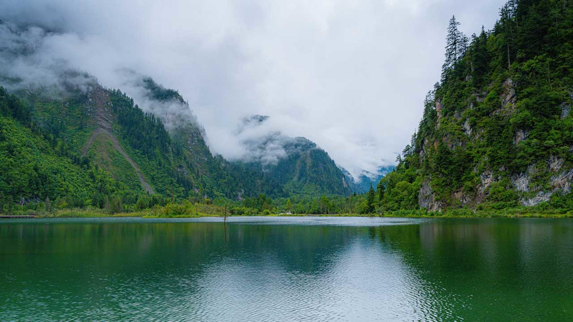 Optional Mount Siguniang Shuangqiaogou/Bipenggou Private Day Tour (Round Trip from Chengdu City) - Thumbnail 9
