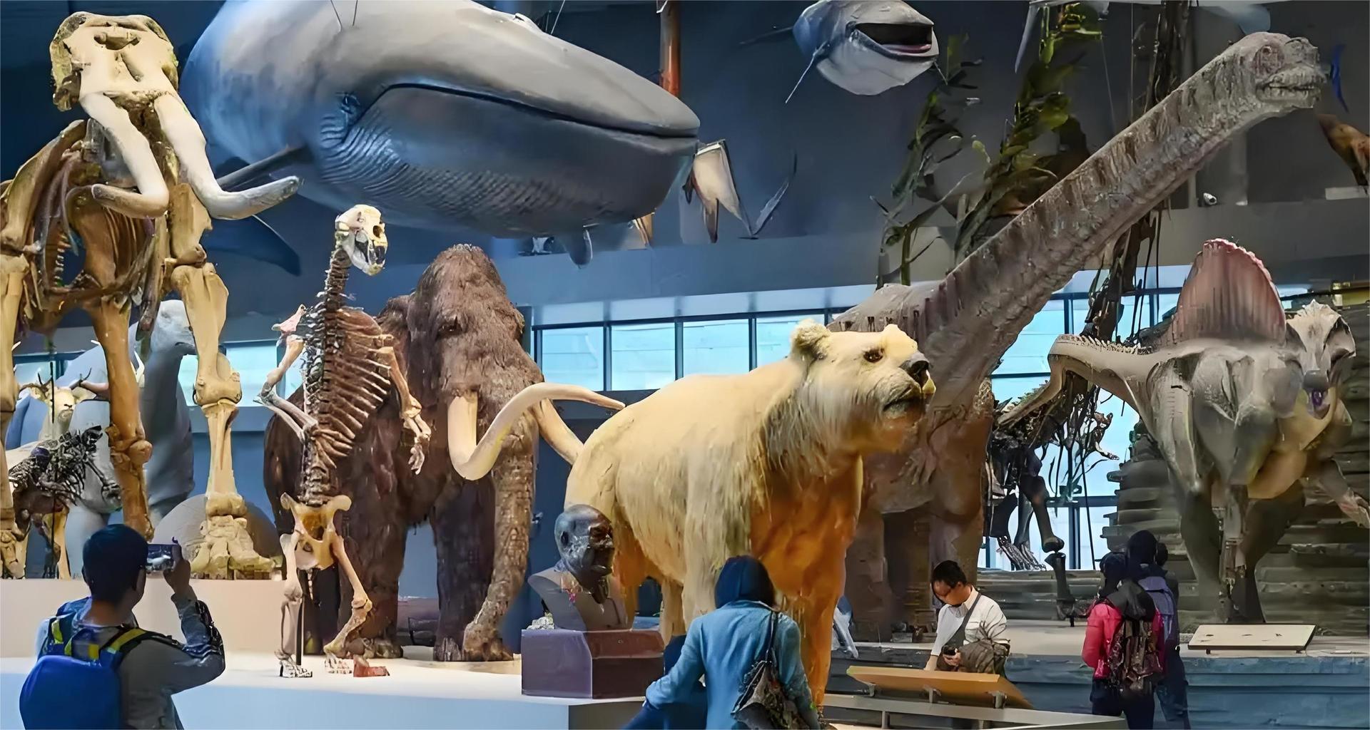 Half-Day Tour of Shanghai Natural History Museum - Image 1