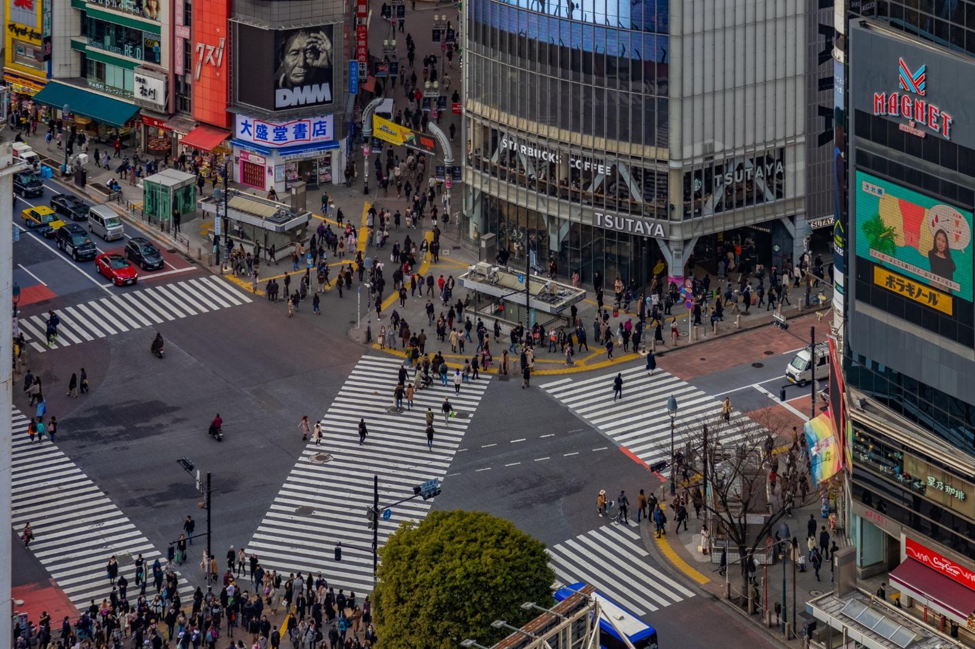 Tokyo Shibuya & Harajuku Half-Day Small Group Tour - Thumbnail 15
