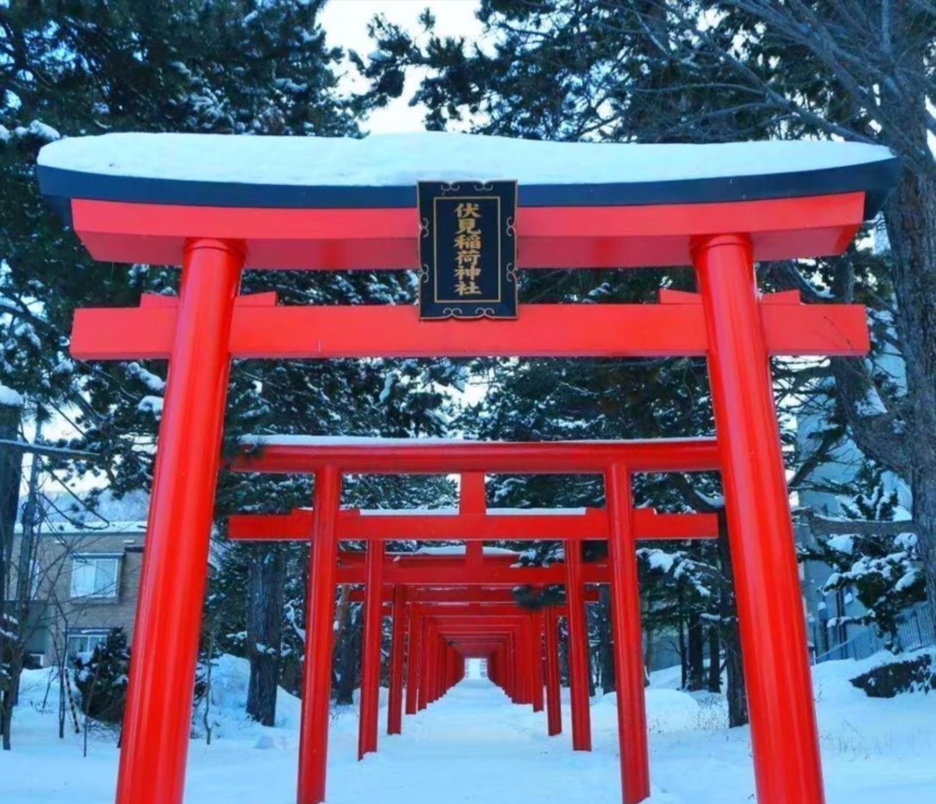 Kyoto one-day private tour (1~4 people) - Thumbnail 28