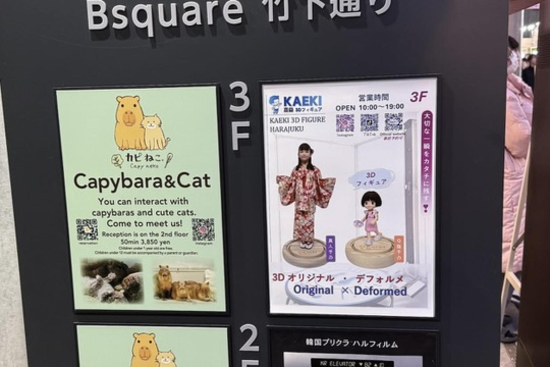 KAEKI 3D FIGURE HARAJUKU: Harajuku Custom 3D Figure Creation - Thumbnail 54