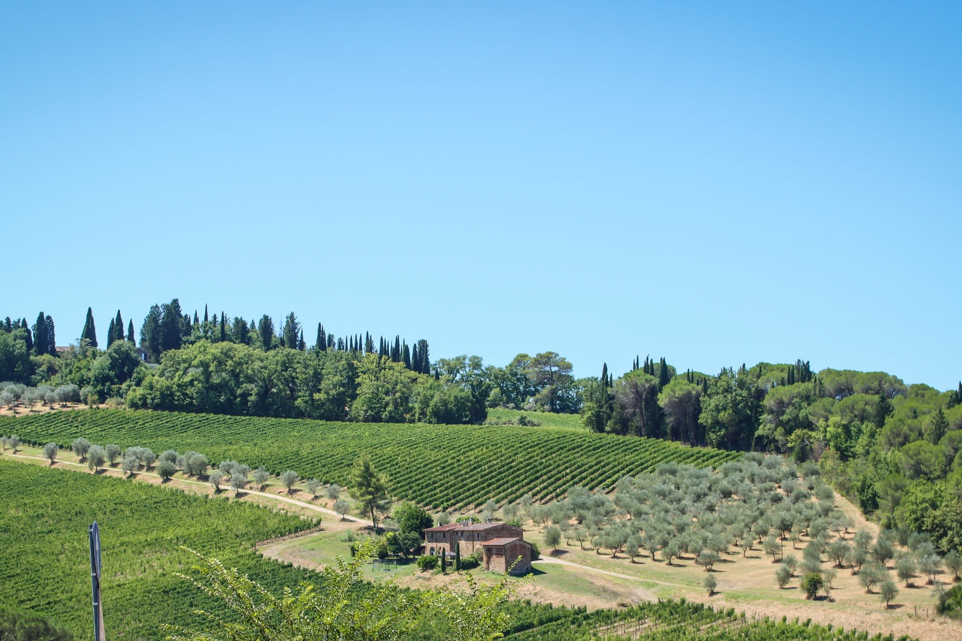 Guided Tuscany Chianti Drive: FIAT E-Car, Wine & Tuscan Lunch - Thumbnail 2