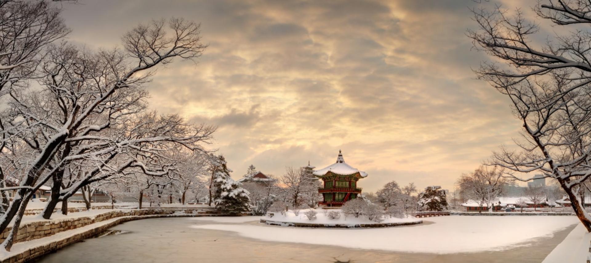 Seoul Gyeongbok Palace Half-Day Small Group Tour - Thumbnail 6