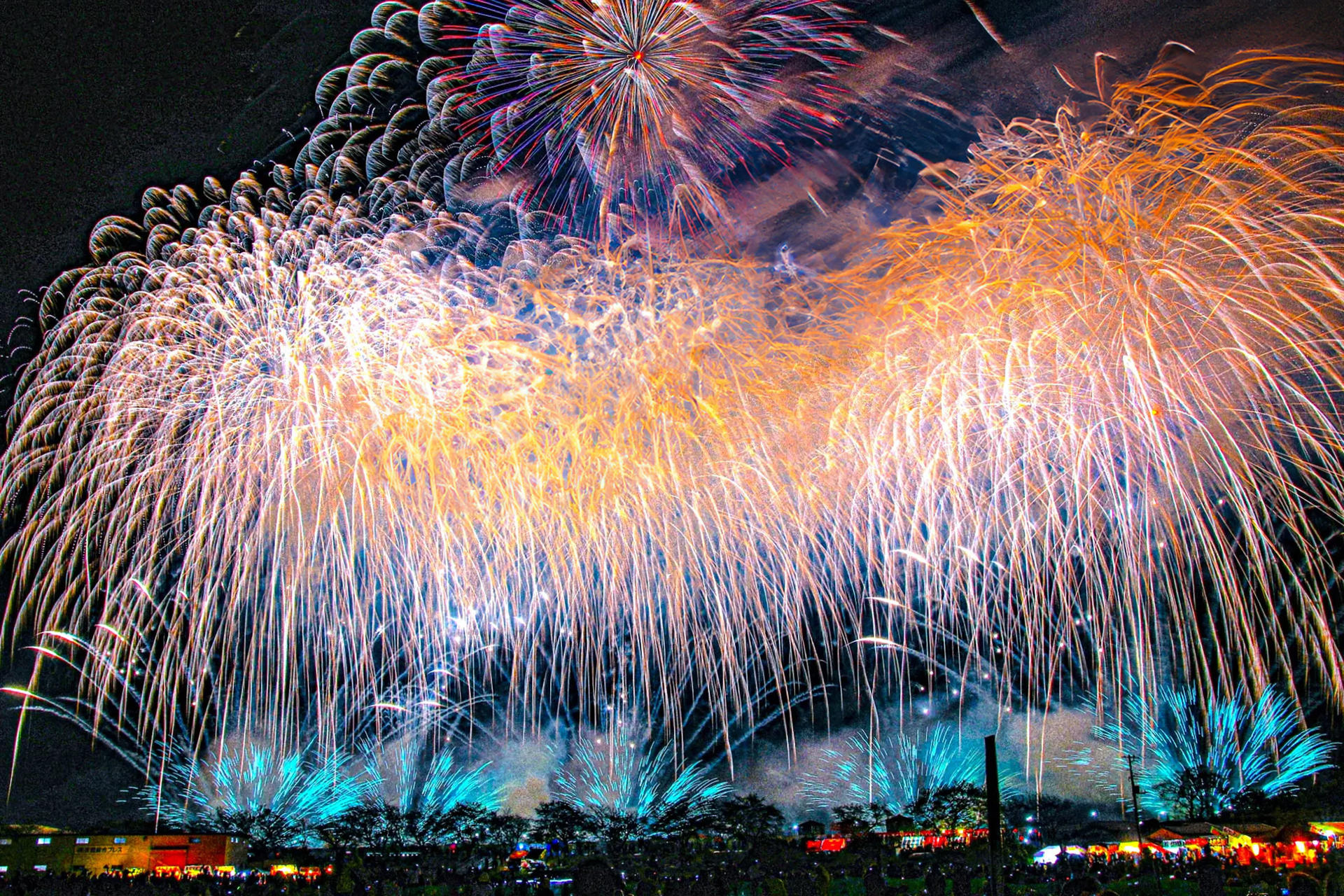 Autumn Fireworks Festival 1-Day Tour: Tsuchiura Fireworks Competition (includes admission ticket) / Kinugawa Fireworks (includes admission ticket) / Oarai Sea Fireworks / Tonegawa Fireworks - Thumbnail 6