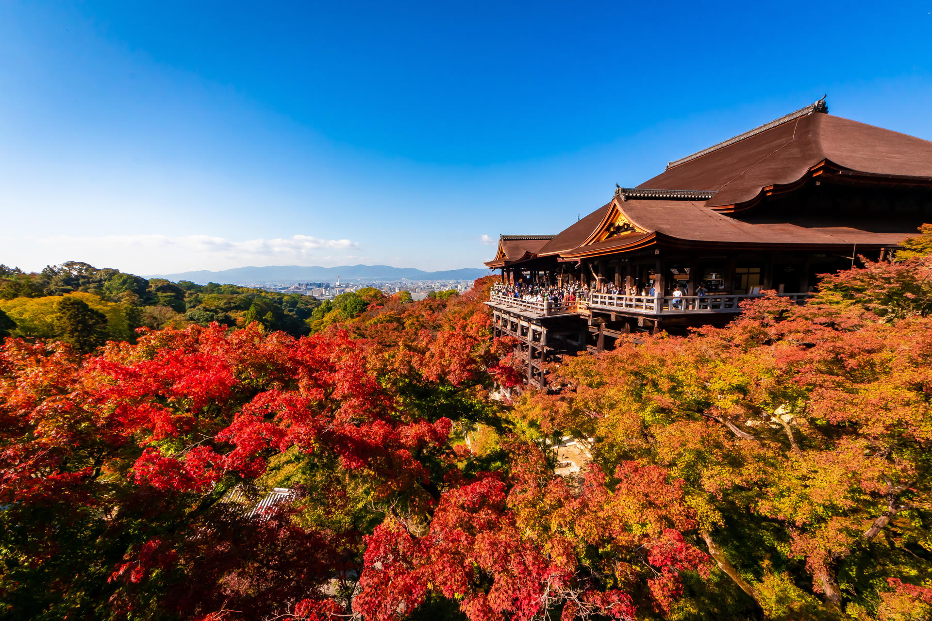 Kyoto Private Tour: Custom Highlights with a Licensed Guide - Thumbnail 5