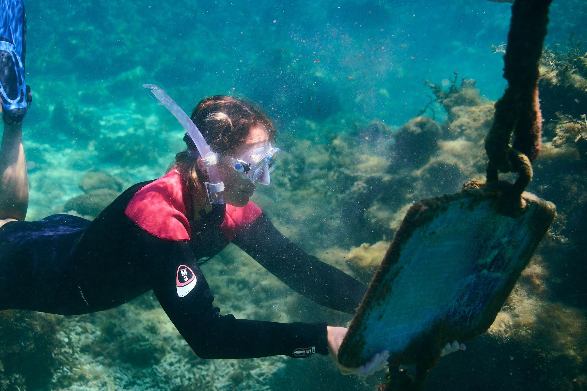 Rottnest Island Guided Snorkelling Tour - Thumbnail 18
