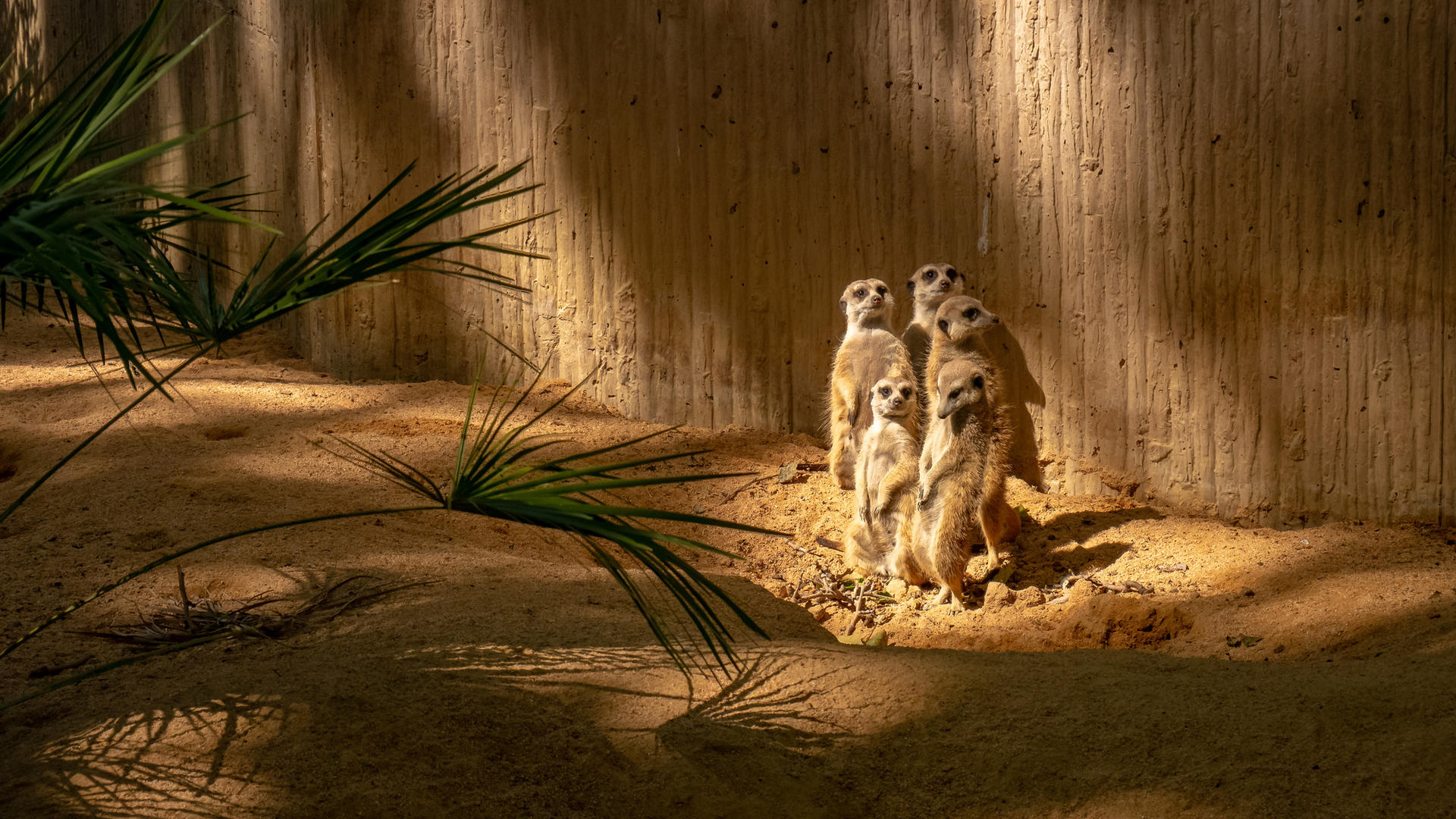 Barcelona Zoo Ticket - Thumbnail 3