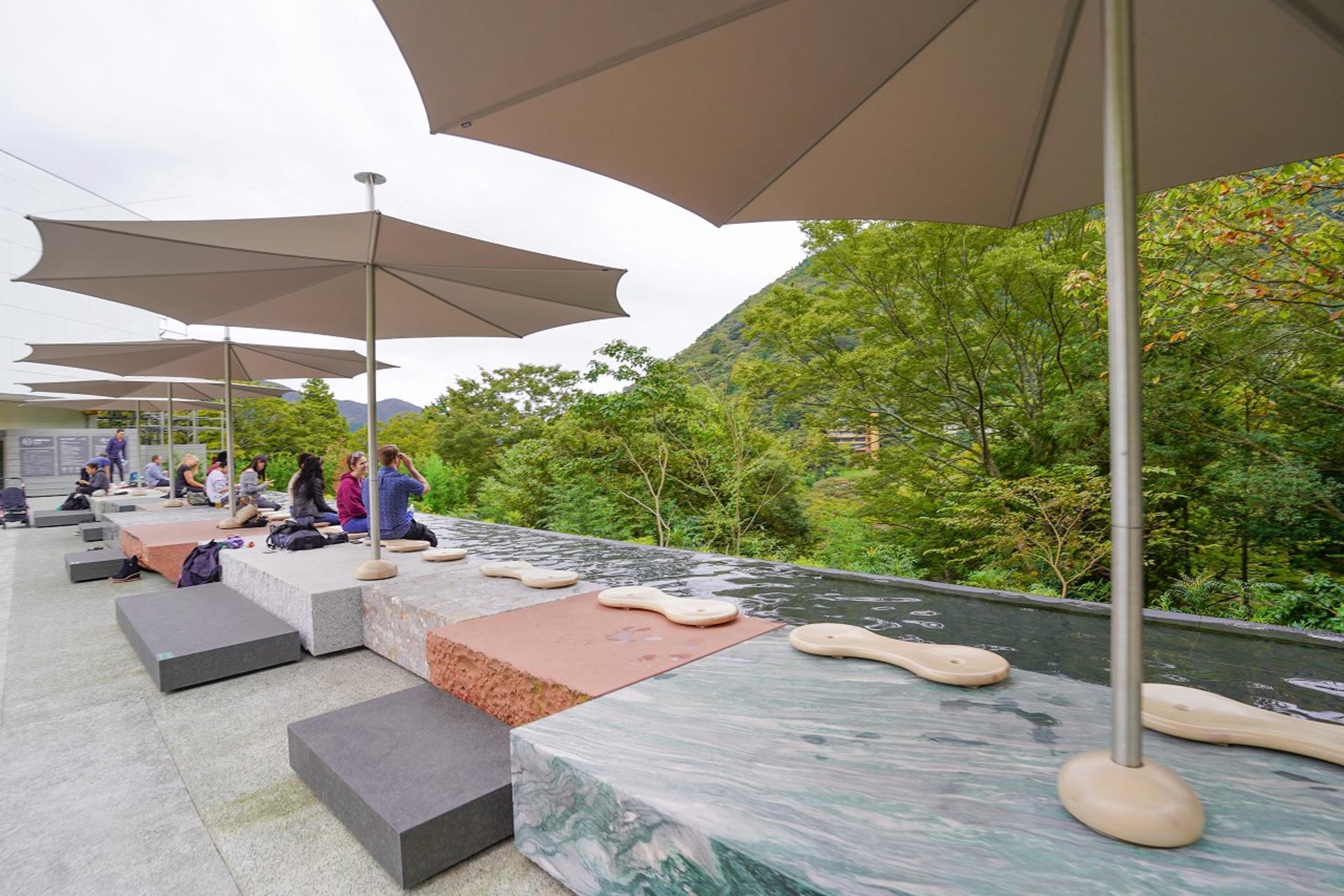 Hakone Full Day Chartered Private Tour: Art & Nature - Thumbnail 23