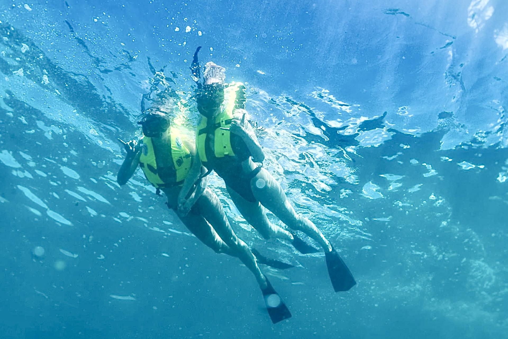 Swim with Dolphins Experience in Oahu - Thumbnail 4
