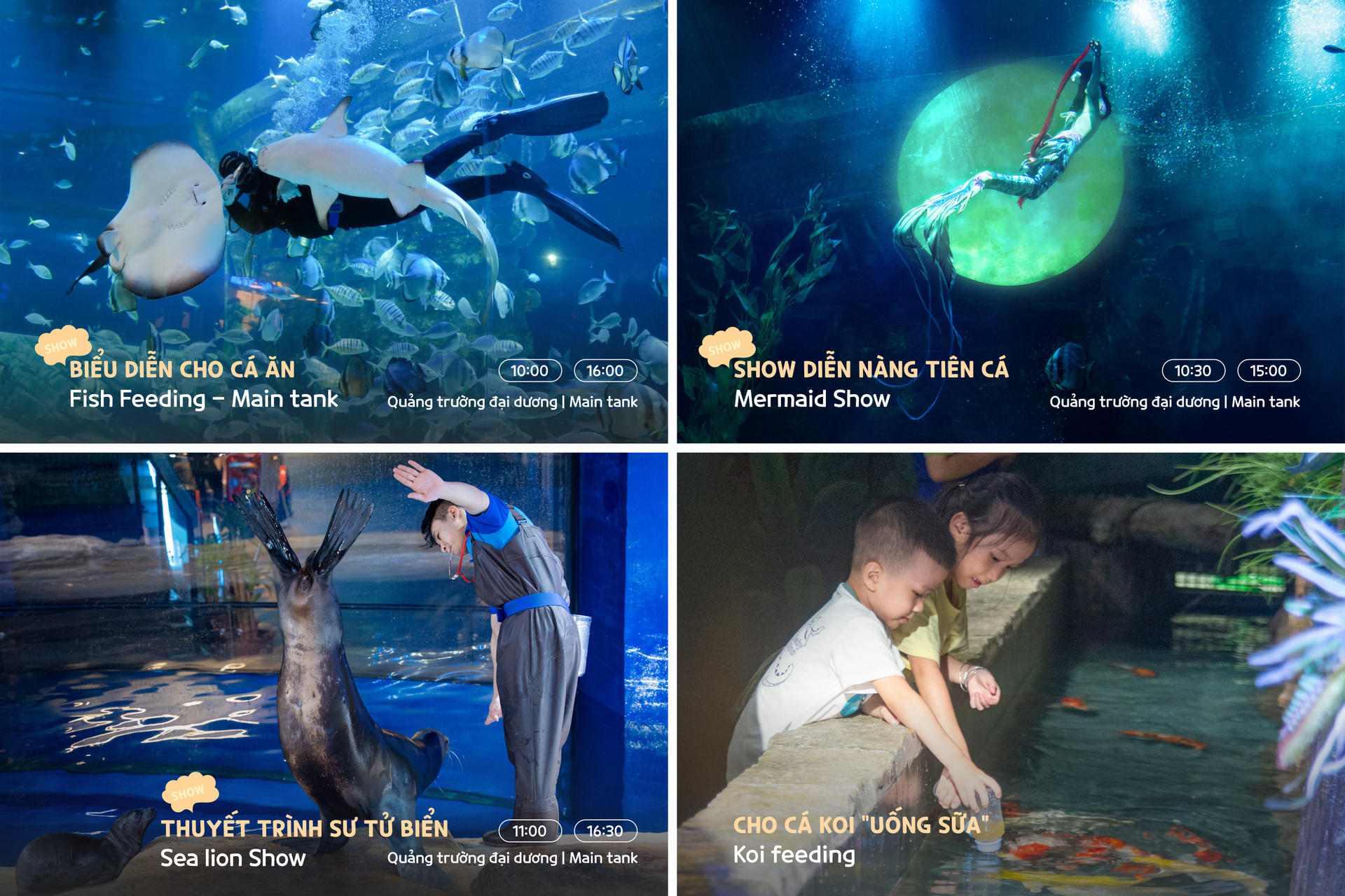Lotte World Aquarium Hanoi Ticket - Thumbnail 14