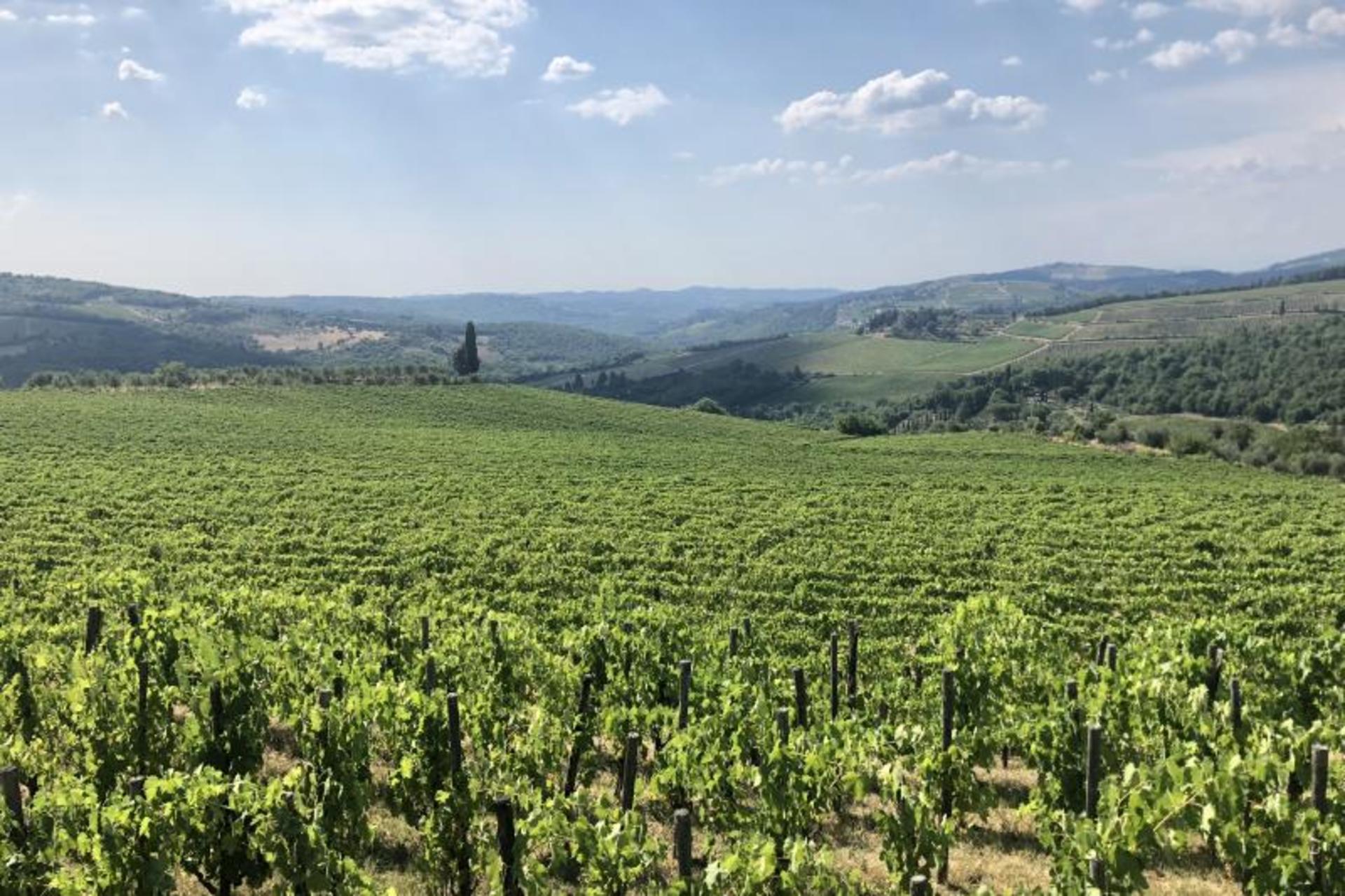 Exploring Chianti by Electric Vespa from Florence - Thumbnail 6