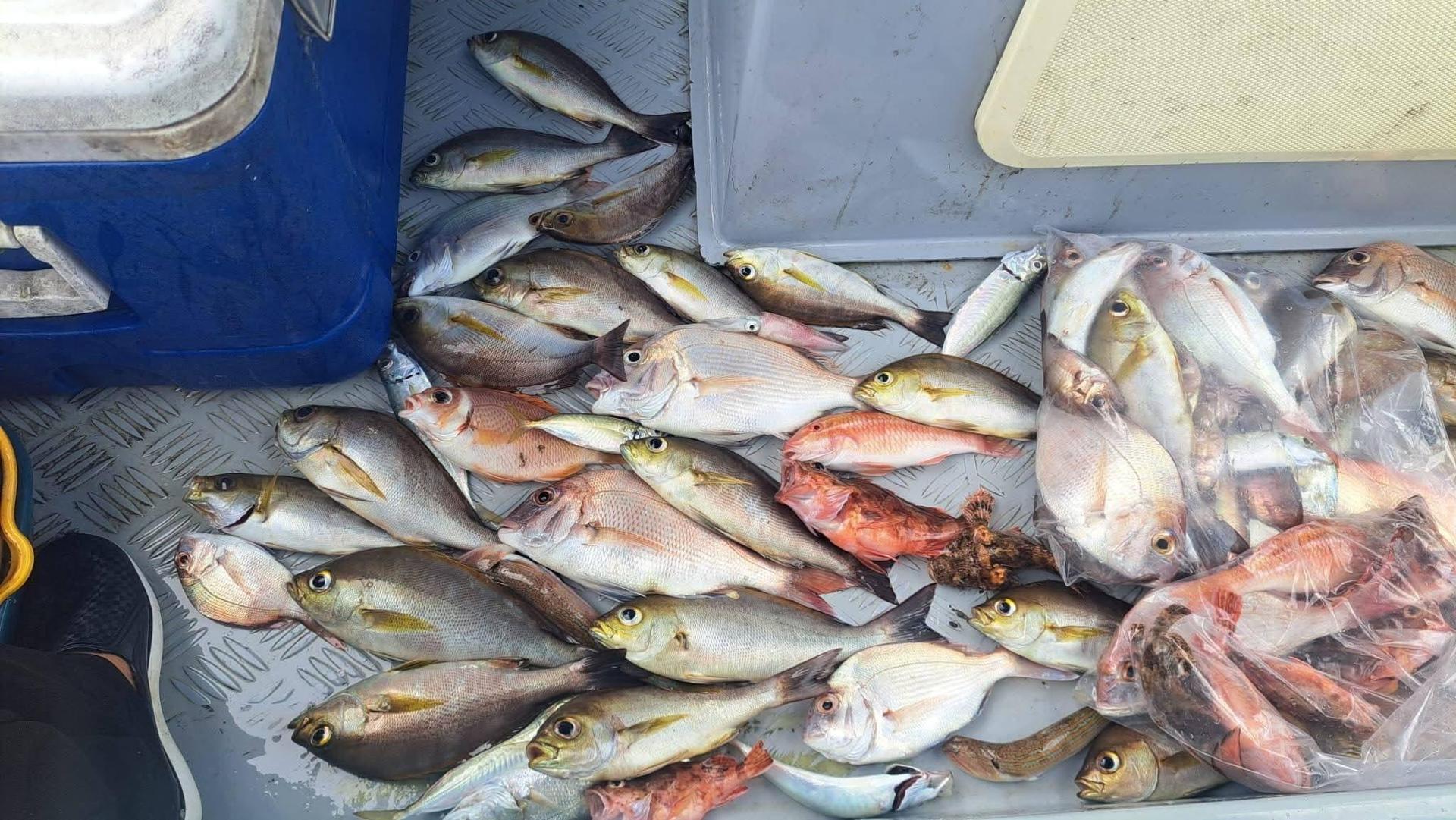 Ji Son Fishing Hong Kong Water Private Boat Fishing Group - Thumbnail 6