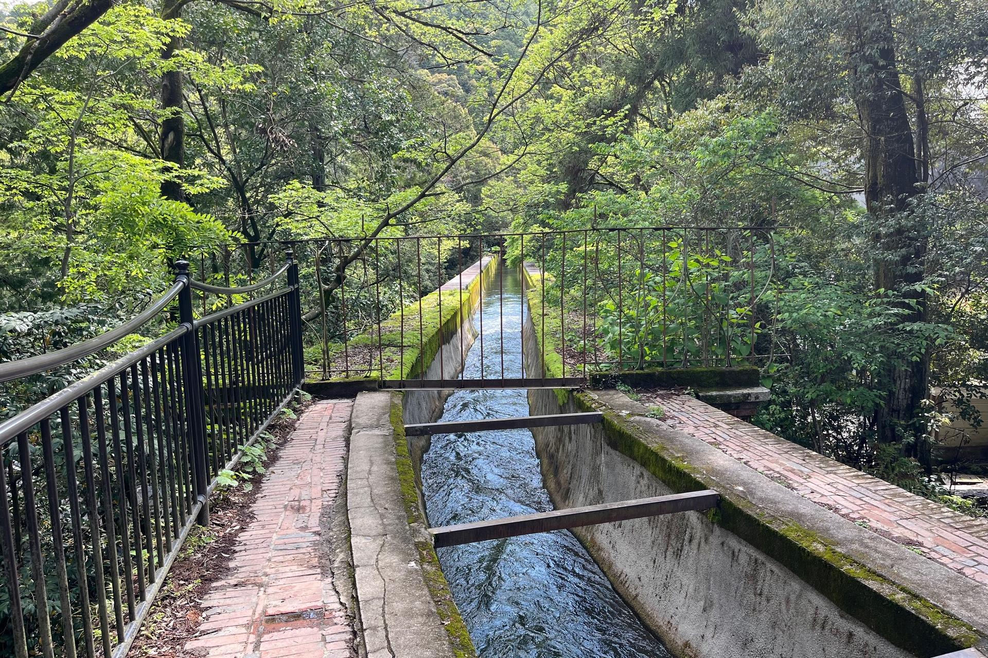 Half-Day Private Guided Tour to the Silver Pavilion in Kyoto - Thumbnail 8