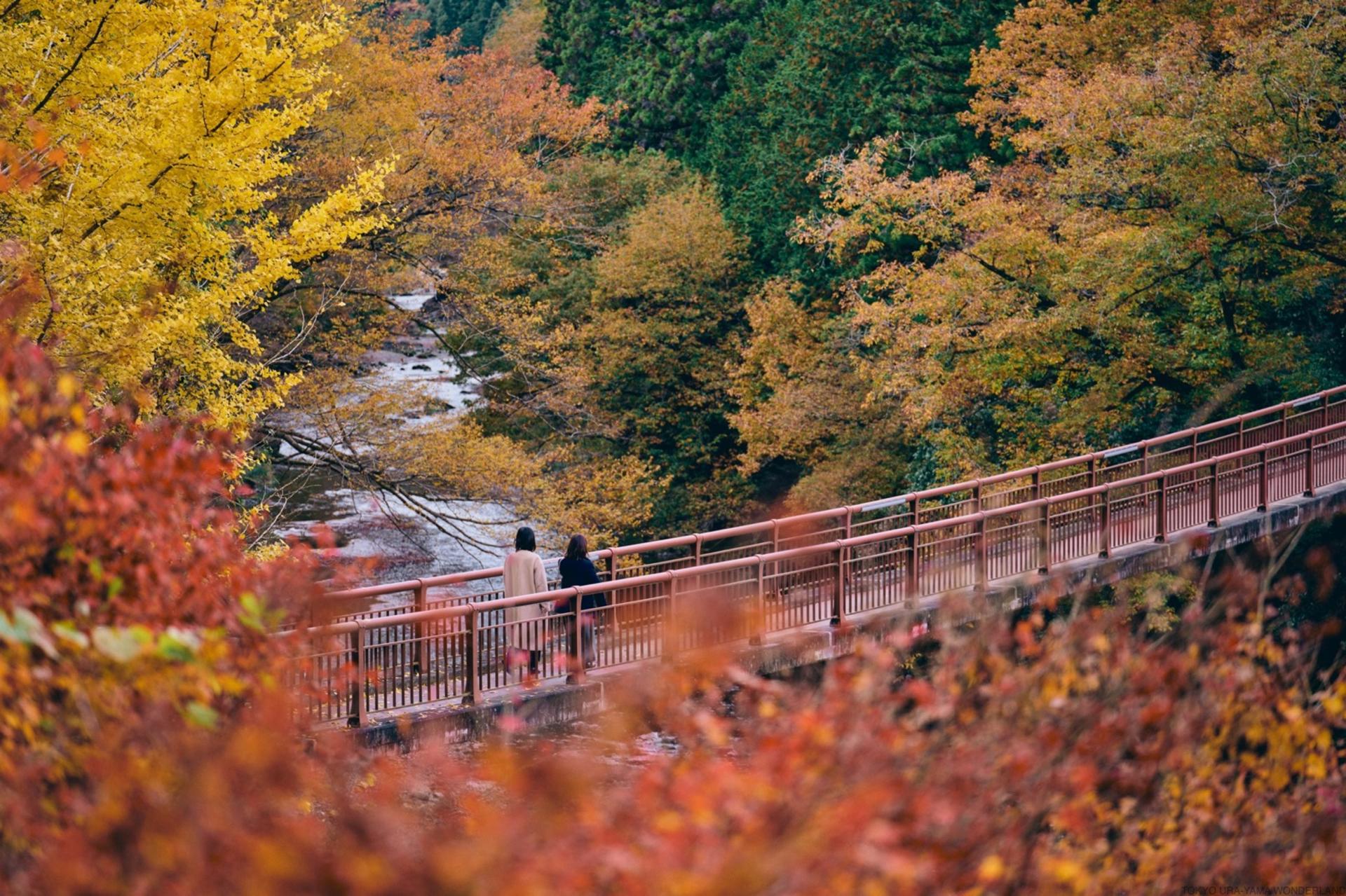 Akiruno Electric Bike & Nature Half-Day Tour - Thumbnail 15