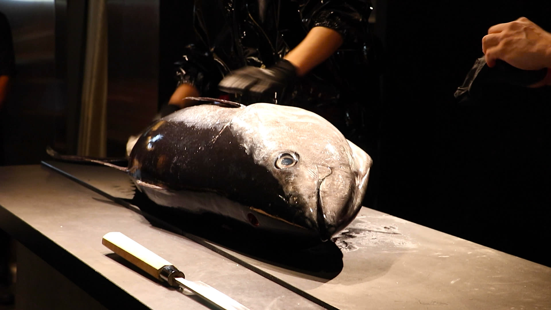 Tokyo: Tuna Cutting Show with Unlimited Sushi & Drinks - Thumbnail 17