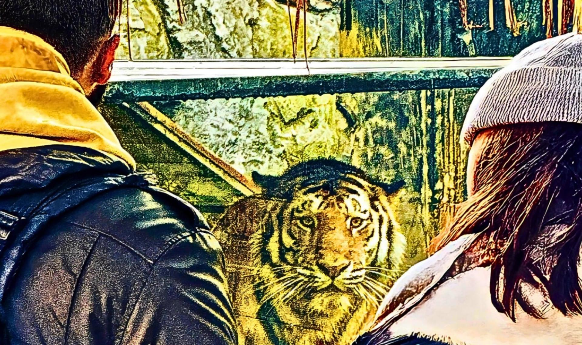 Lion Park Istanbul Zoo Ticket - Thumbnail 7