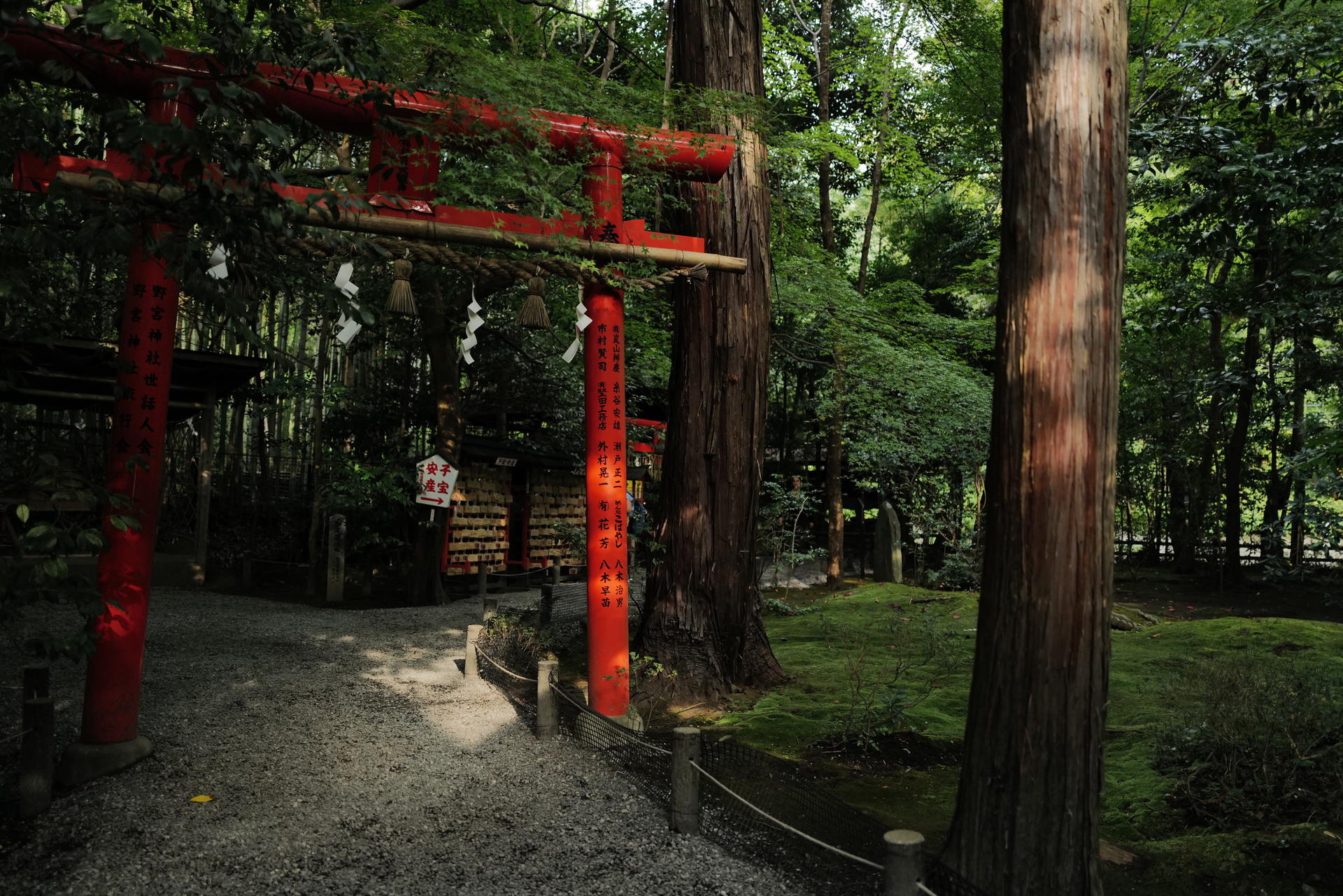 Kyoto Early Morning Tour with Korean-Speaking Guide - Thumbnail 4