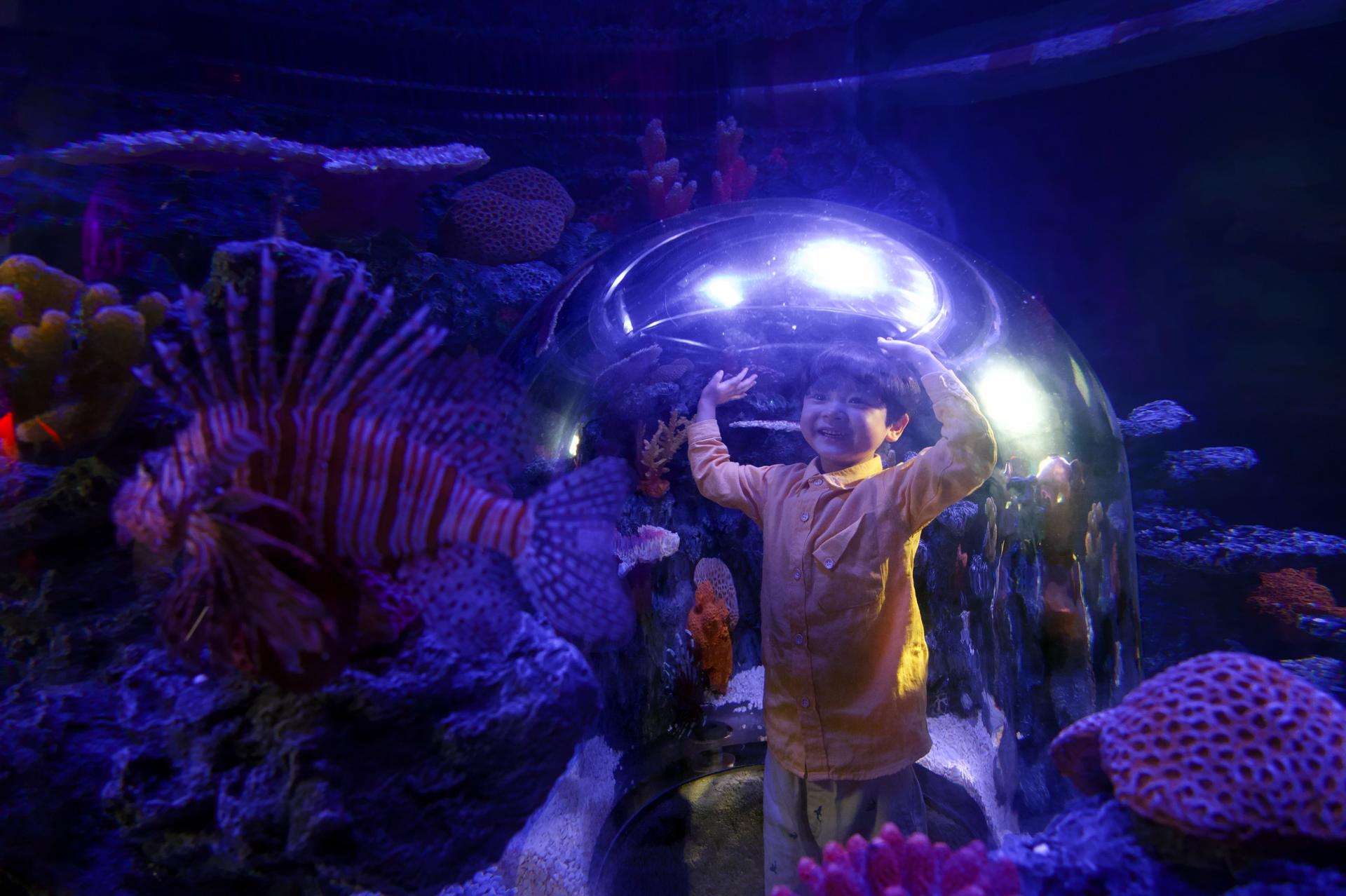SEA LIFE COEX Seoul Aquarium Ticket - Thumbnail 5