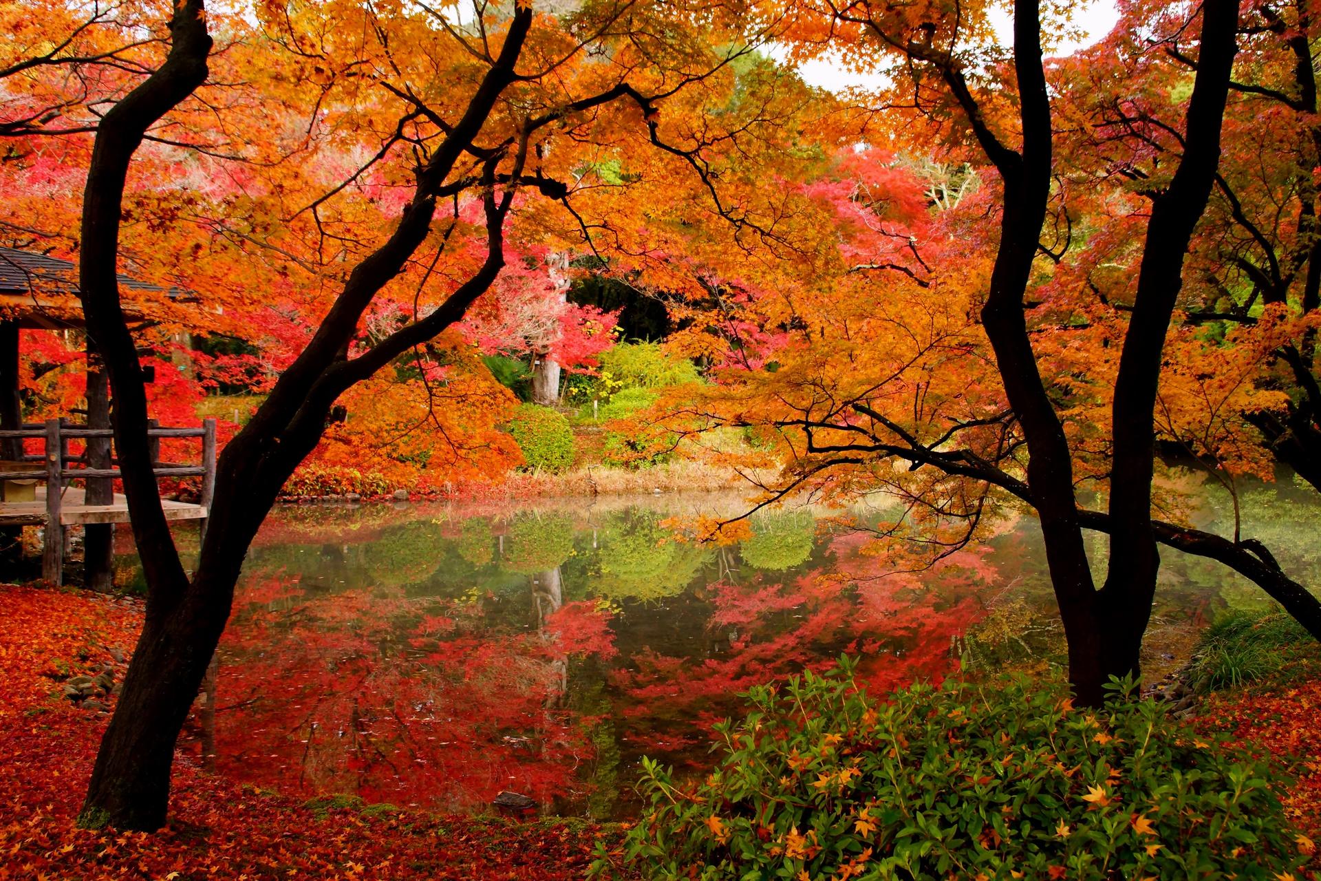 Kyoto Highlights: World Heritage Half Day Tour - Thumbnail 7