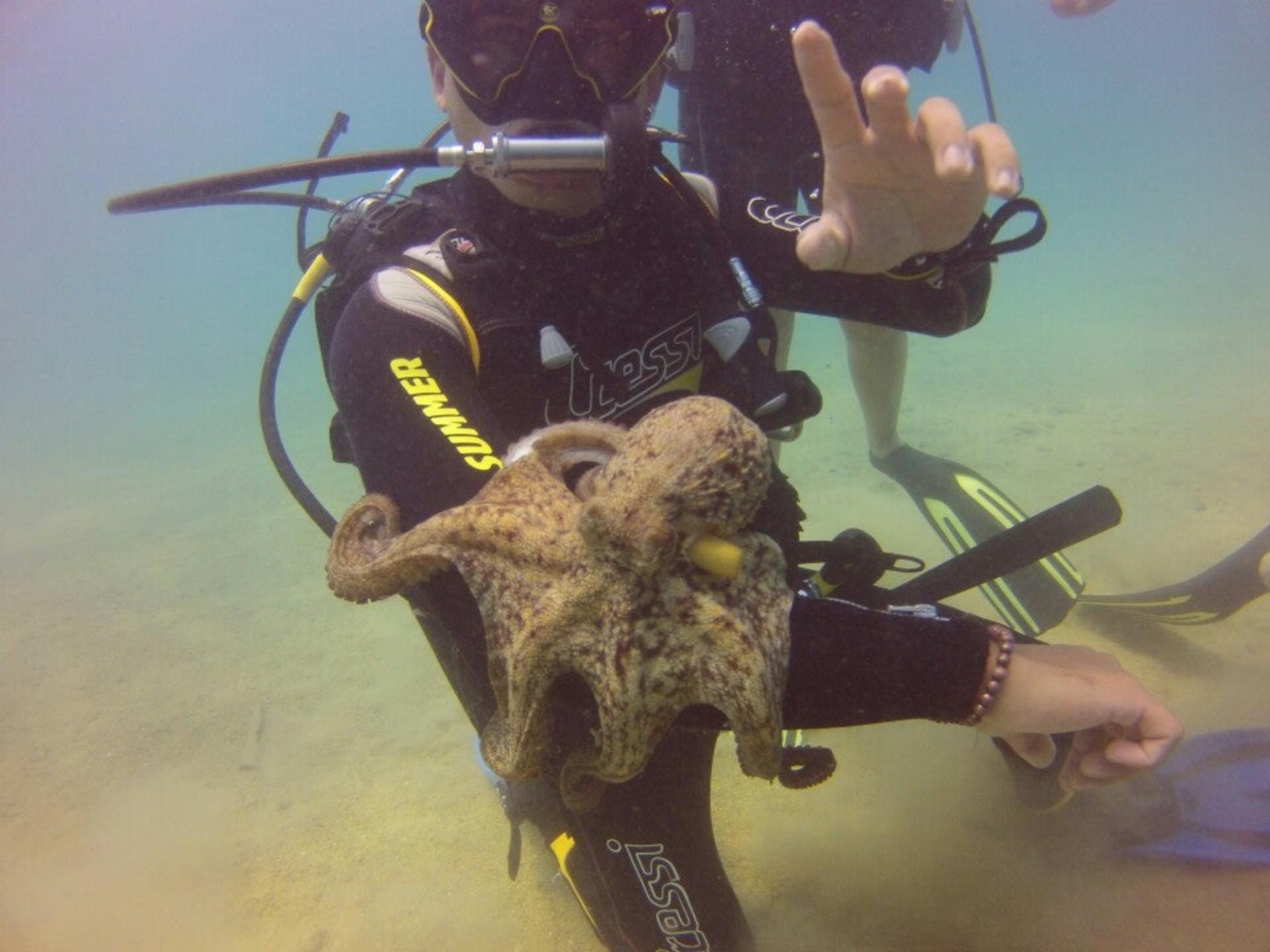 Scuba Diving in Kemer from Antalya - Thumbnail 3