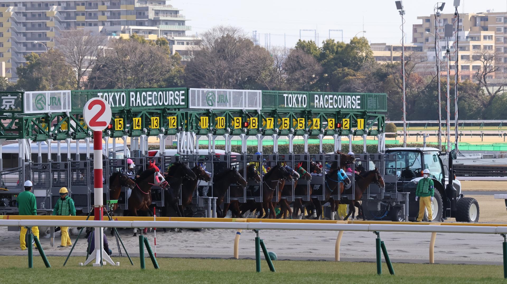Tokyo Horse Racing Experience with Local Fan - Thumbnail 16