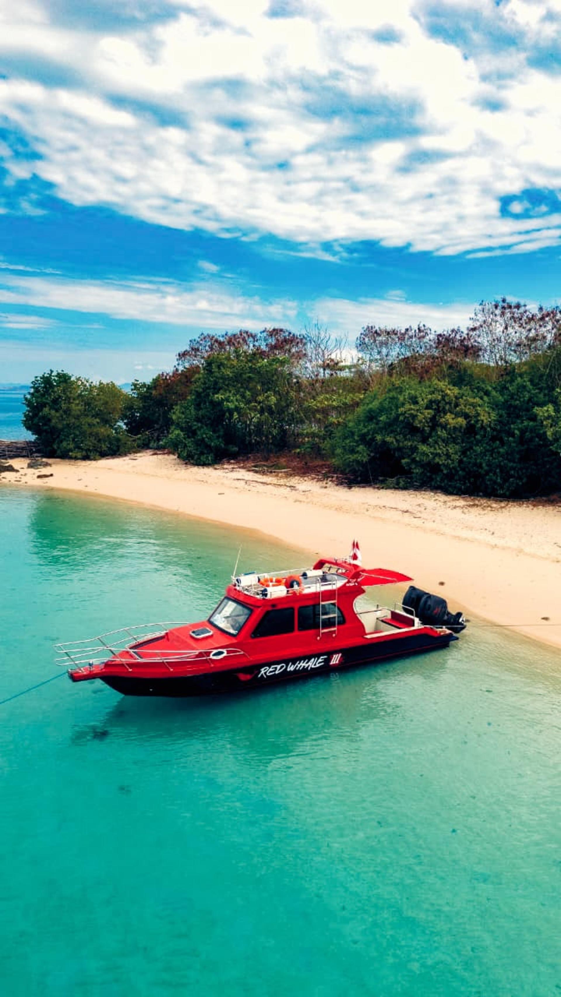 Red Whale Speedboat Full Day Tour from Labuan Bajo - Thumbnail 15