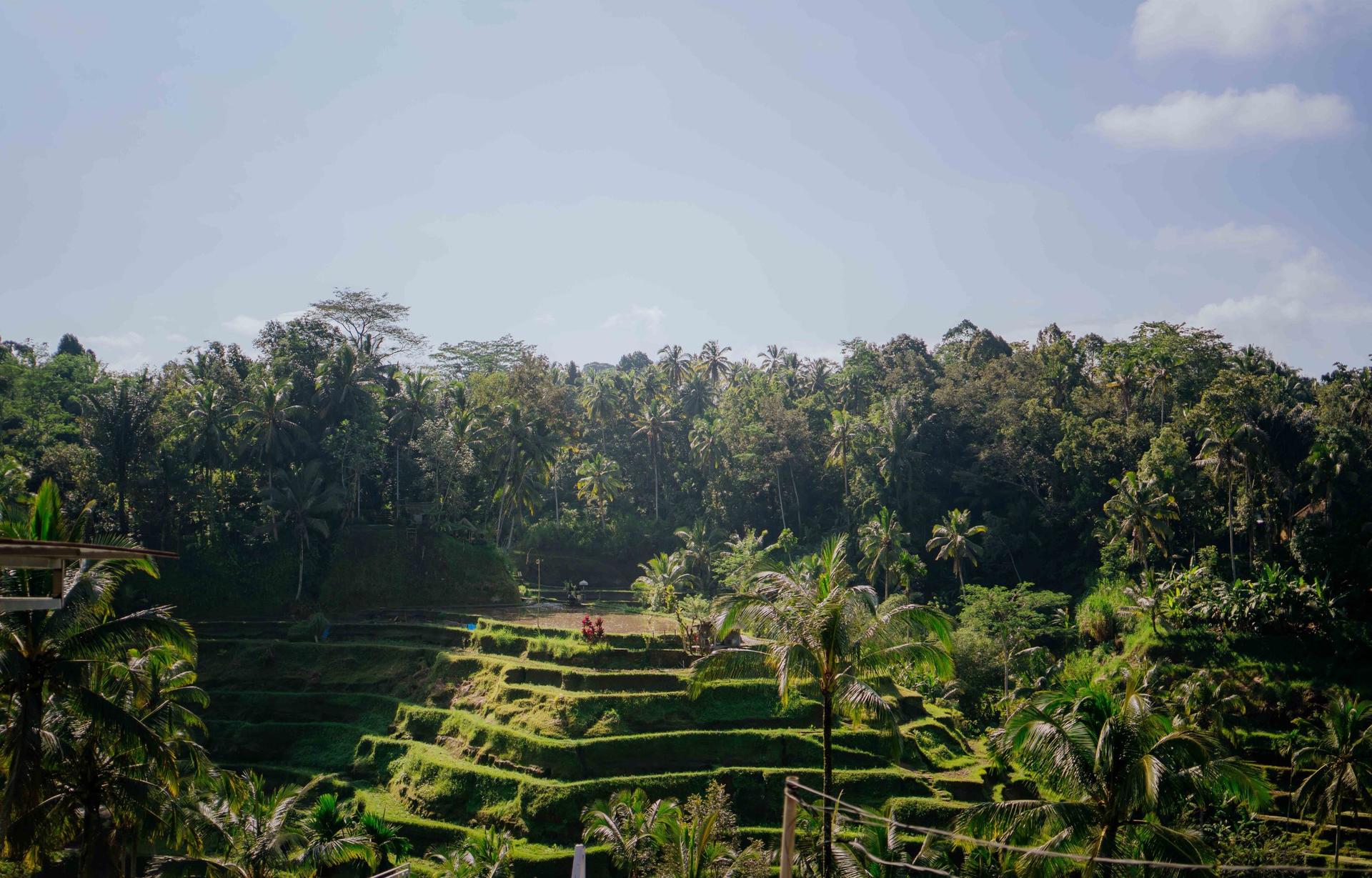 Fun ATV Ride Combo Packages in Bali – ATV, Rafting, Tubing & Swing  - Thumbnail 9
