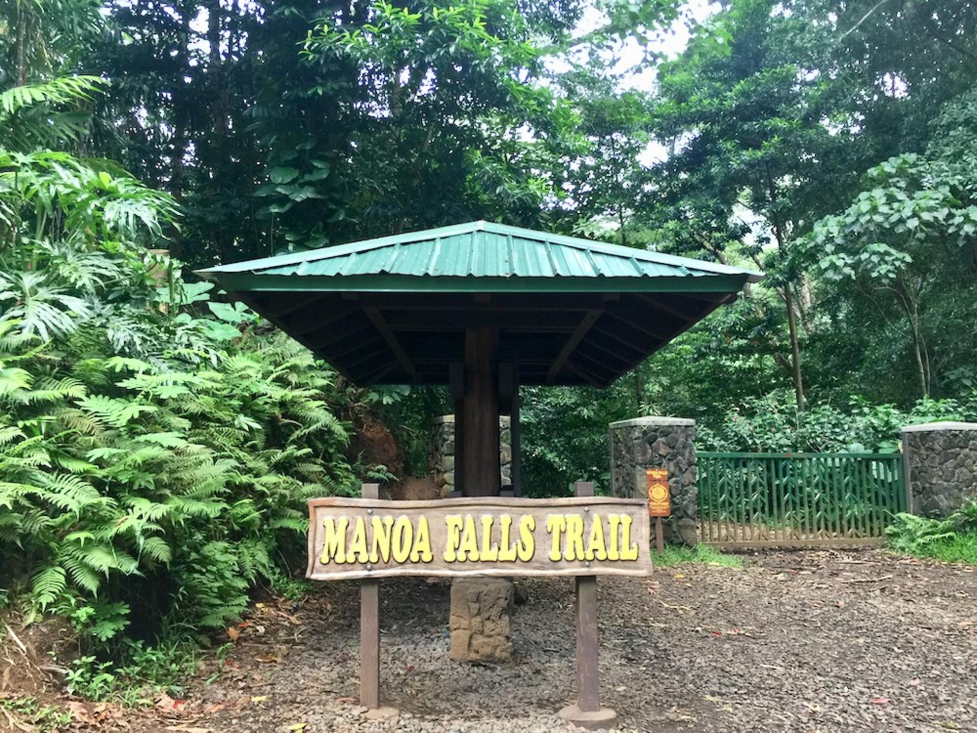 Manoa Falls Hiking Tour in Oahu - Thumbnail 3