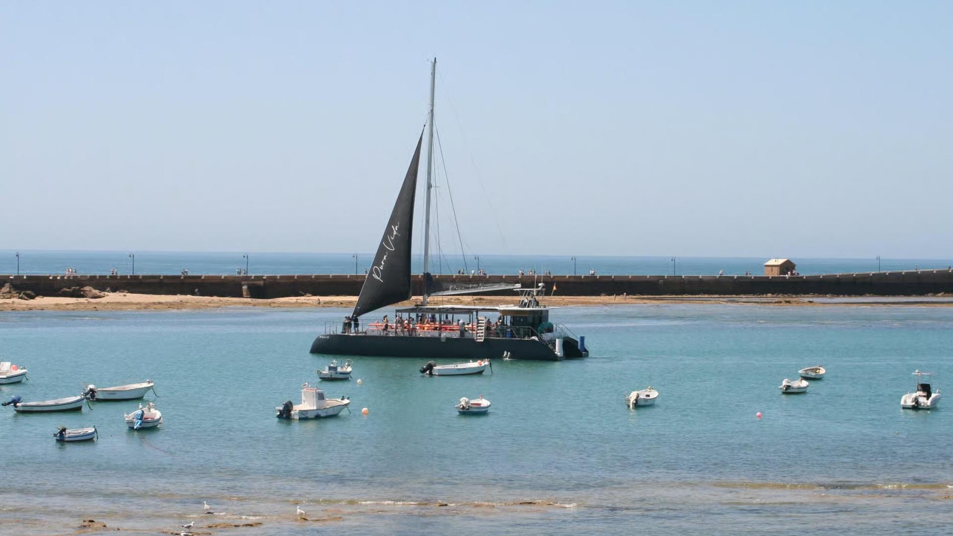 Catamaran sightseeing experience in Cadiz - Image 1