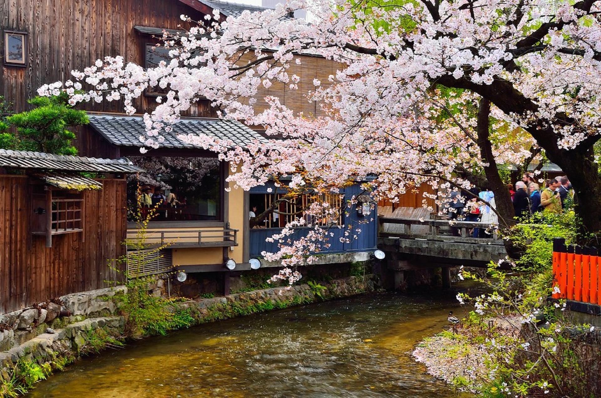 Kyoto Gion Night Guided Walking Tour (3 Hours) - Thumbnail 20