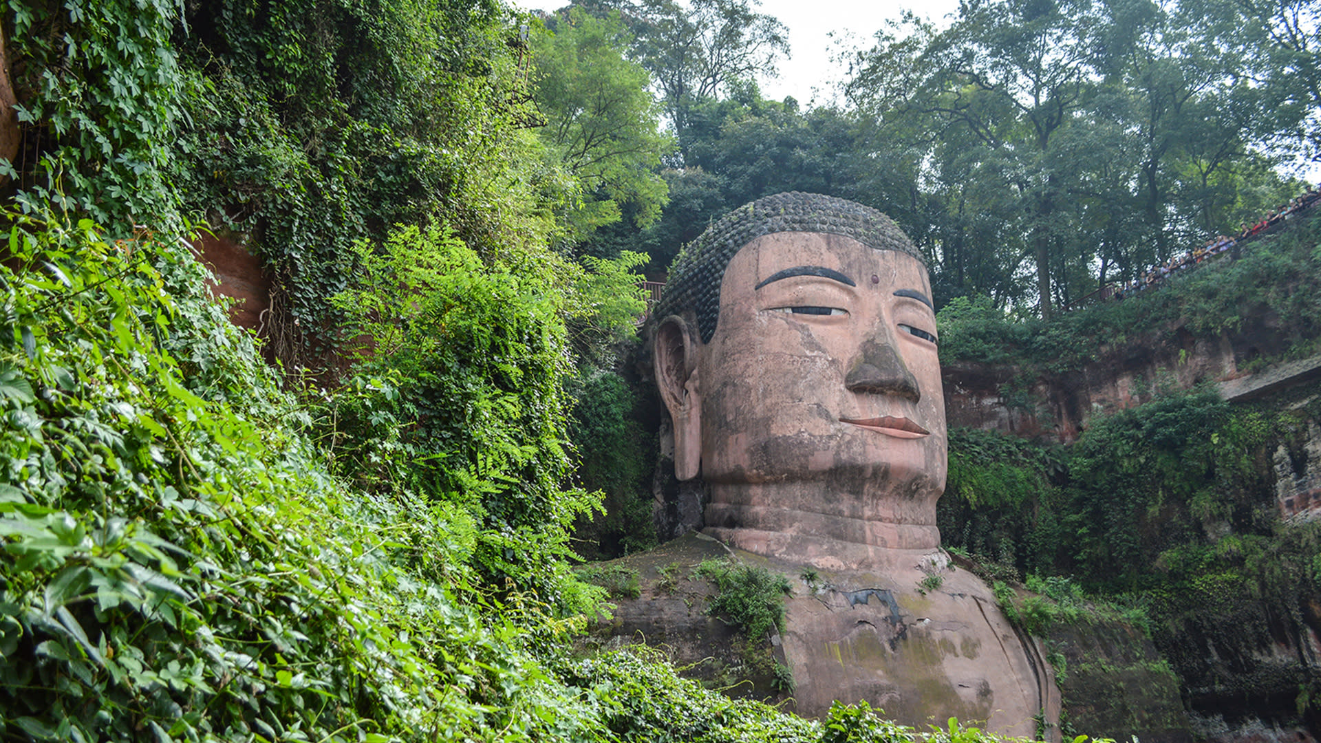 Giant Panda Breeding Research Base + Leshan Giant Buddha Private Day Tour (From Chengdu) - Thumbnail 11