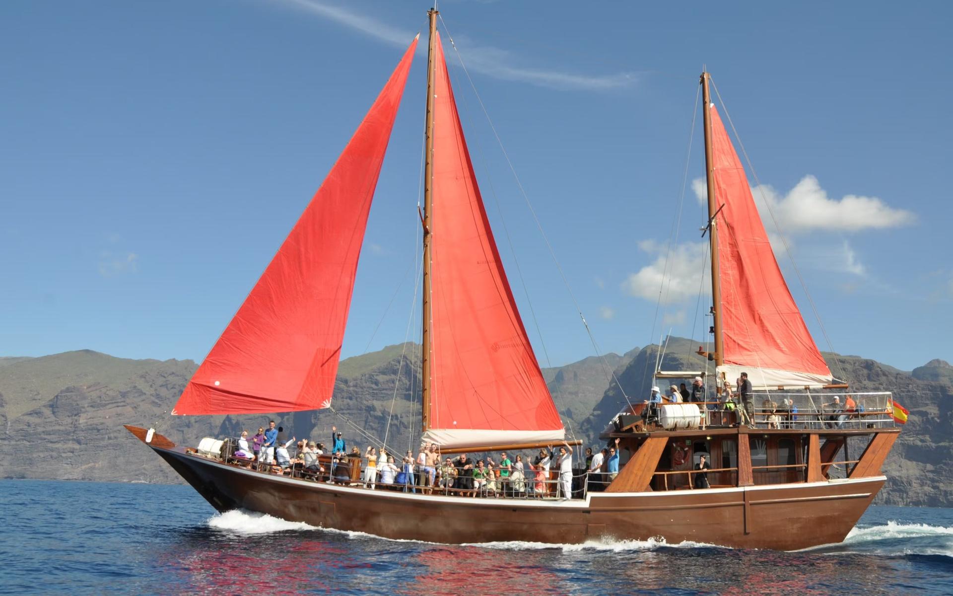 Los Gigantes whale watching cruise tour with lunch - Thumbnail 9