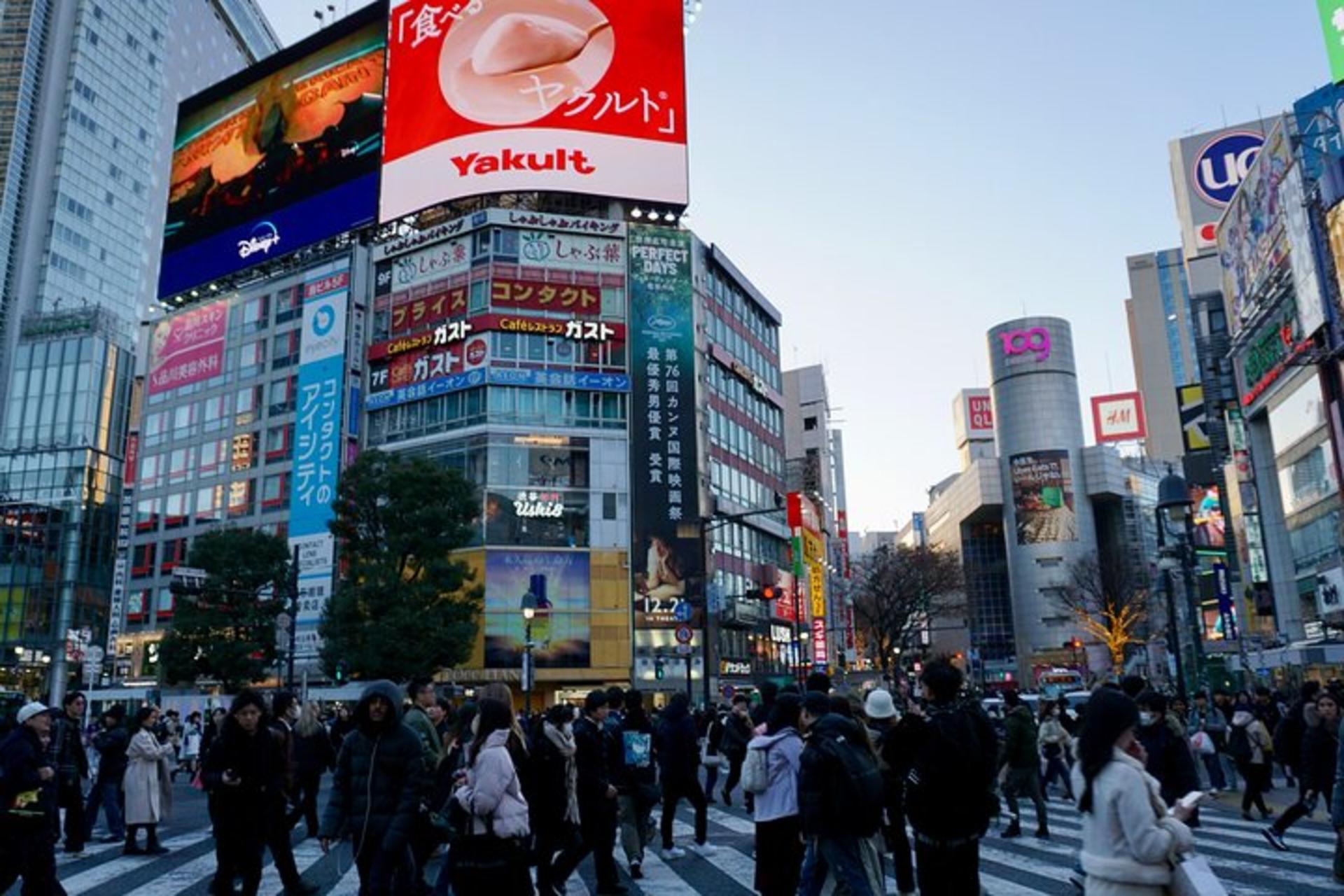 Tokyo Walking Tour From Meiji Shrine in Harajuku to Shibuya Crossing - Thumbnail 11