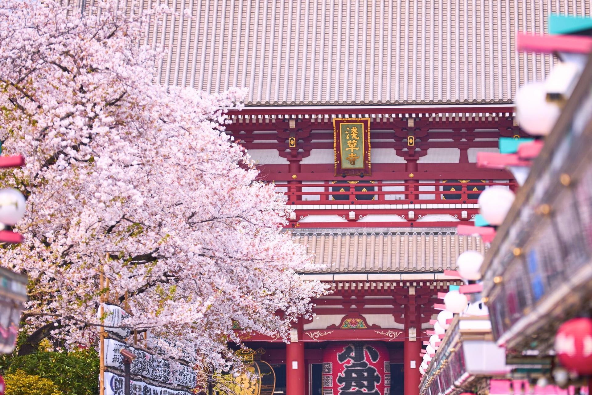 Tokyo, Asakusa Sensoji, Imado Shrine Goshuin Walking Tour - Thumbnail 18