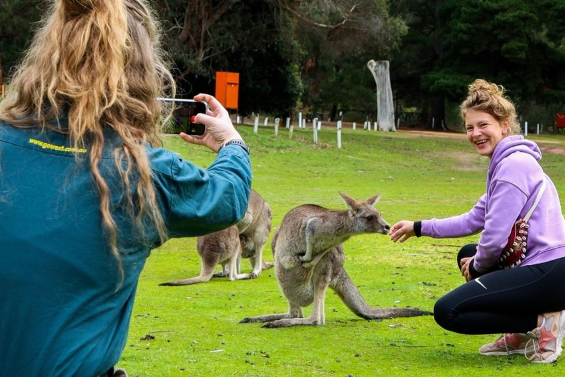 Grampians National Park Day Tour - Thumbnail 4