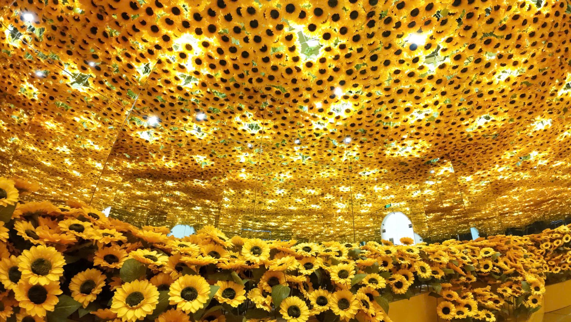 Flyover Starry Sky Art Experience Ticket in Ho Chi Minh City - Thumbnail 6