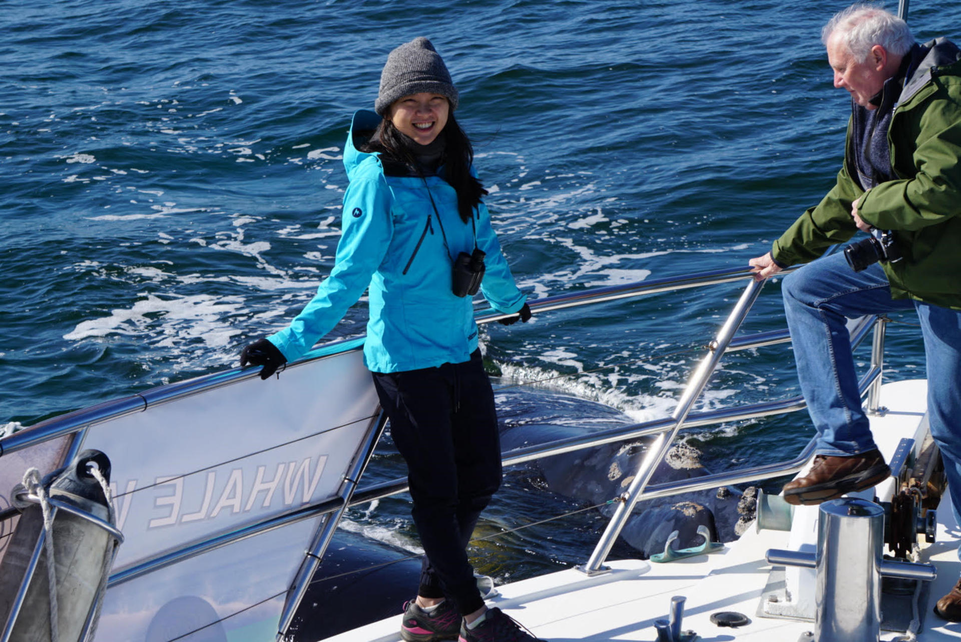 Whale Watching Tours from Perth & Margaret River - Thumbnail 13