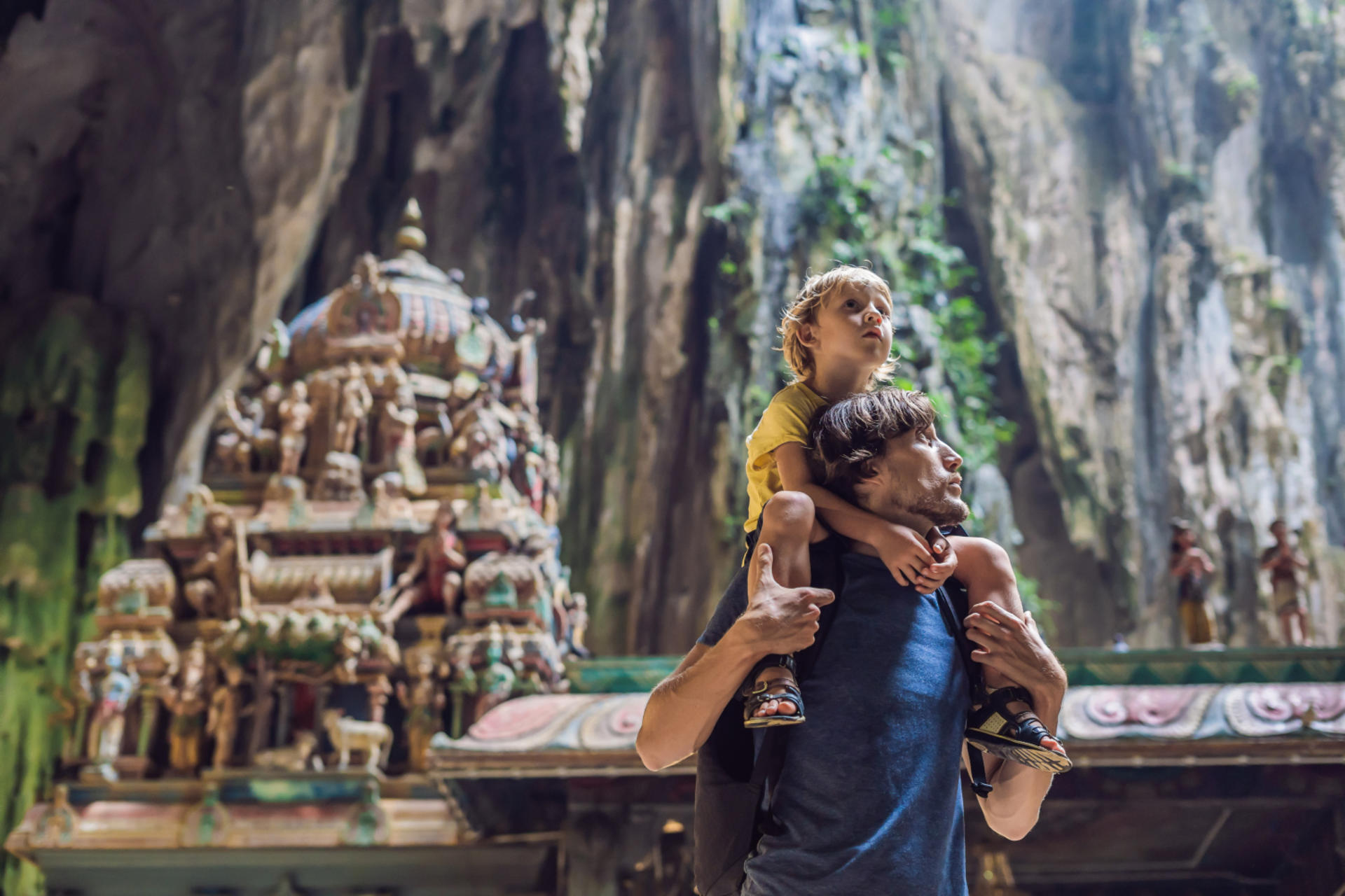 Kuala Lumpur Batu Caves Half-Day Private Cultural Tour - Thumbnail 8
