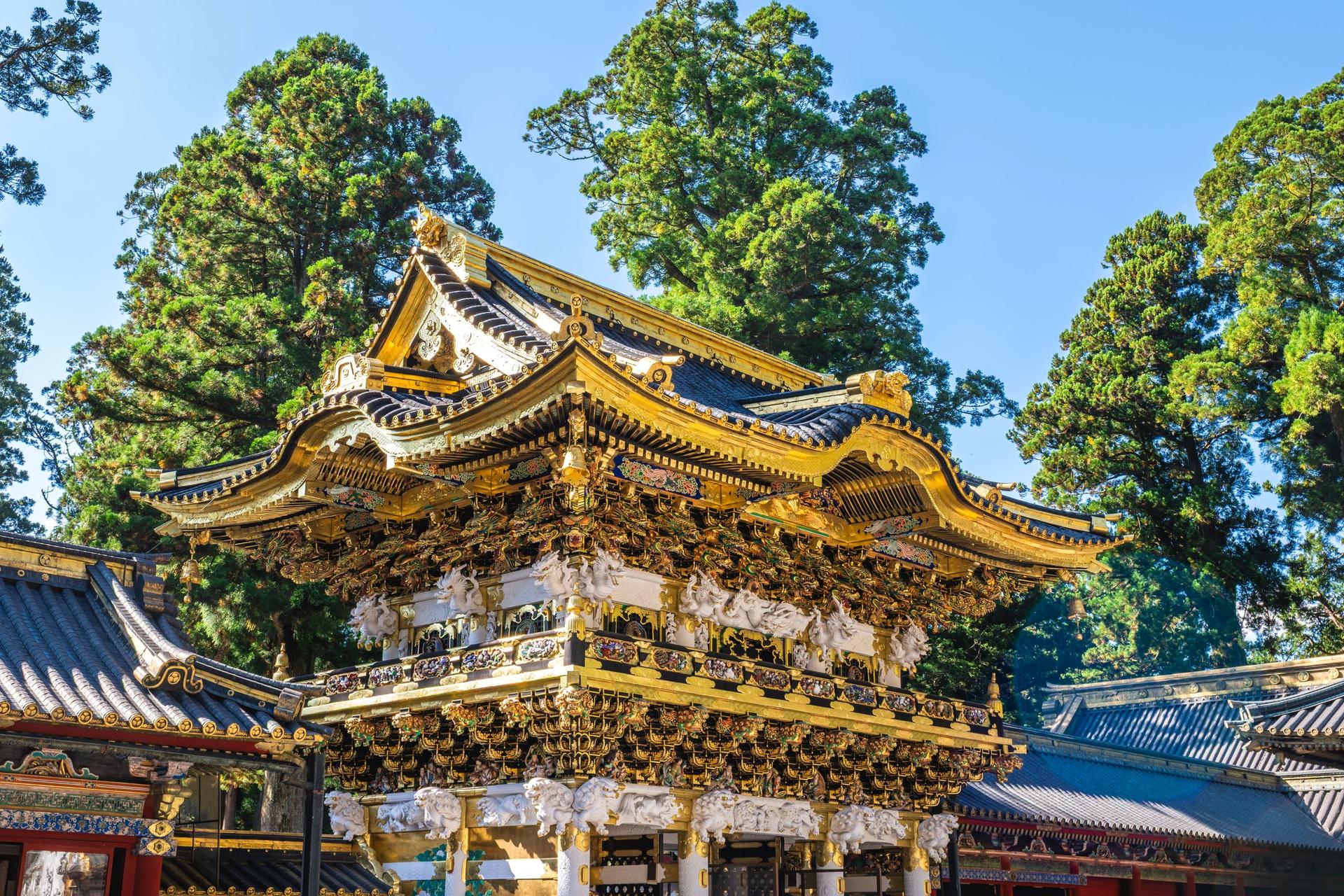 Nikko Autumn Special: Irohazaka, Kegon Falls & Toshogu Day Tour - Thumbnail 16