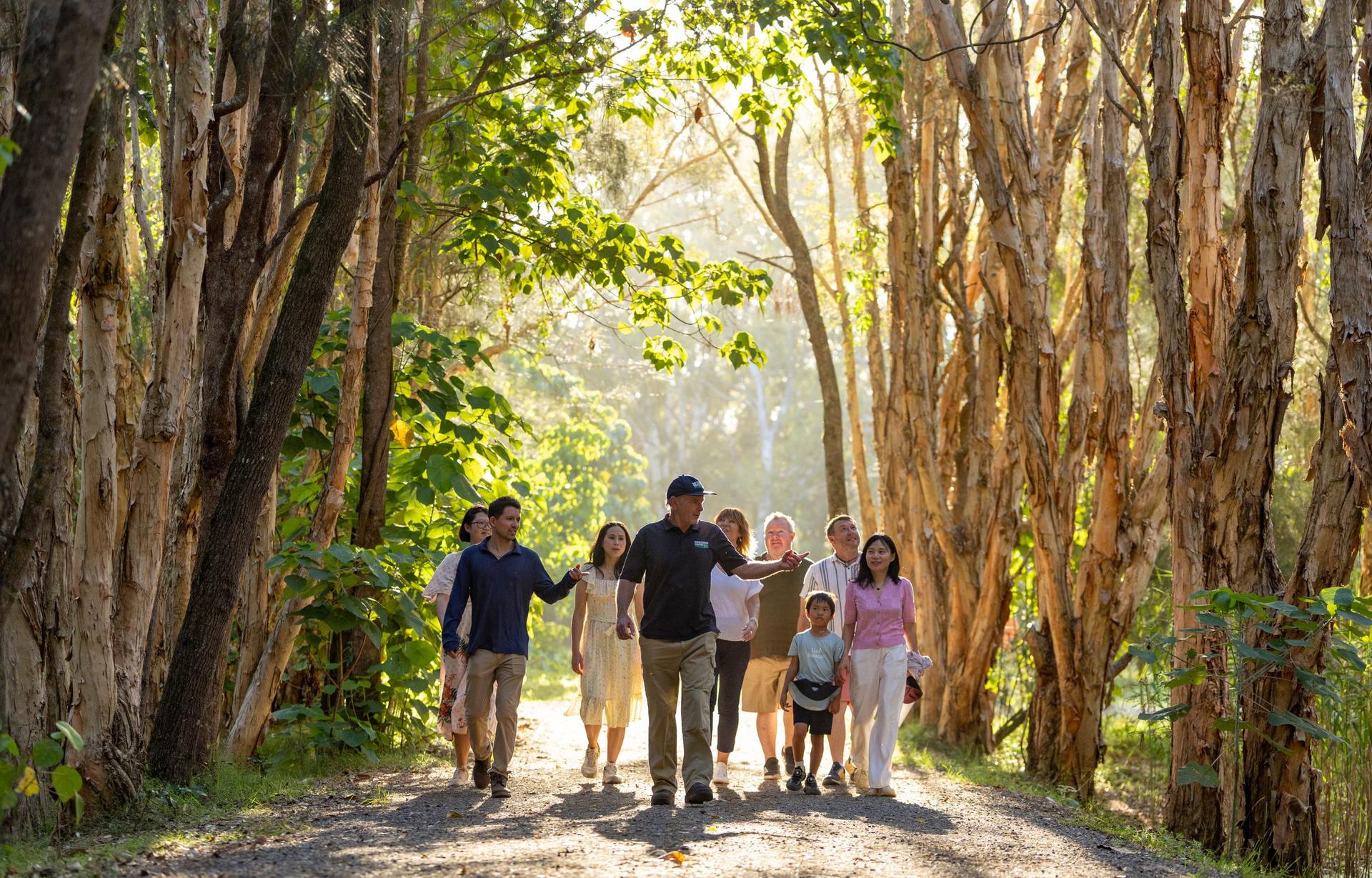 Gold Coast Tamborine National Park Half-Day Tour - Thumbnail 2