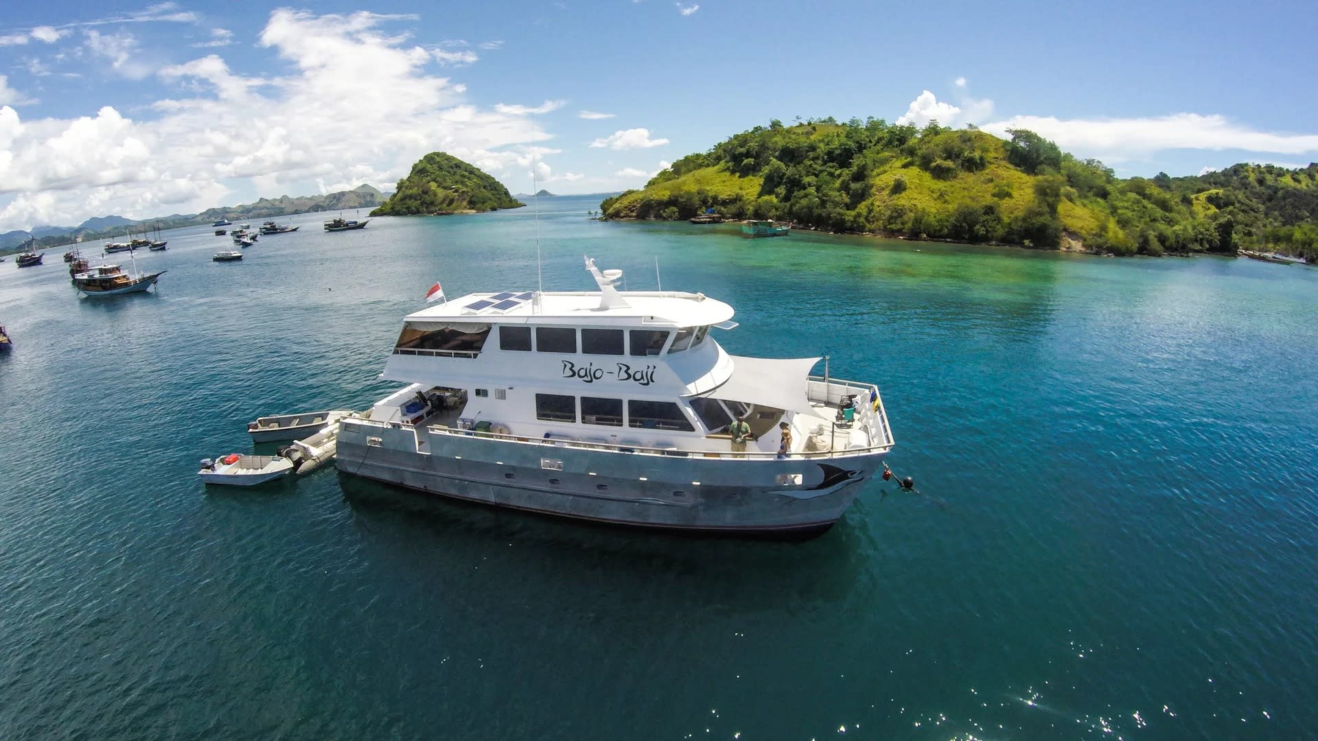 Master Komodo's Depths: Advanced Diver Course with PADI 5* Center - Thumbnail 2