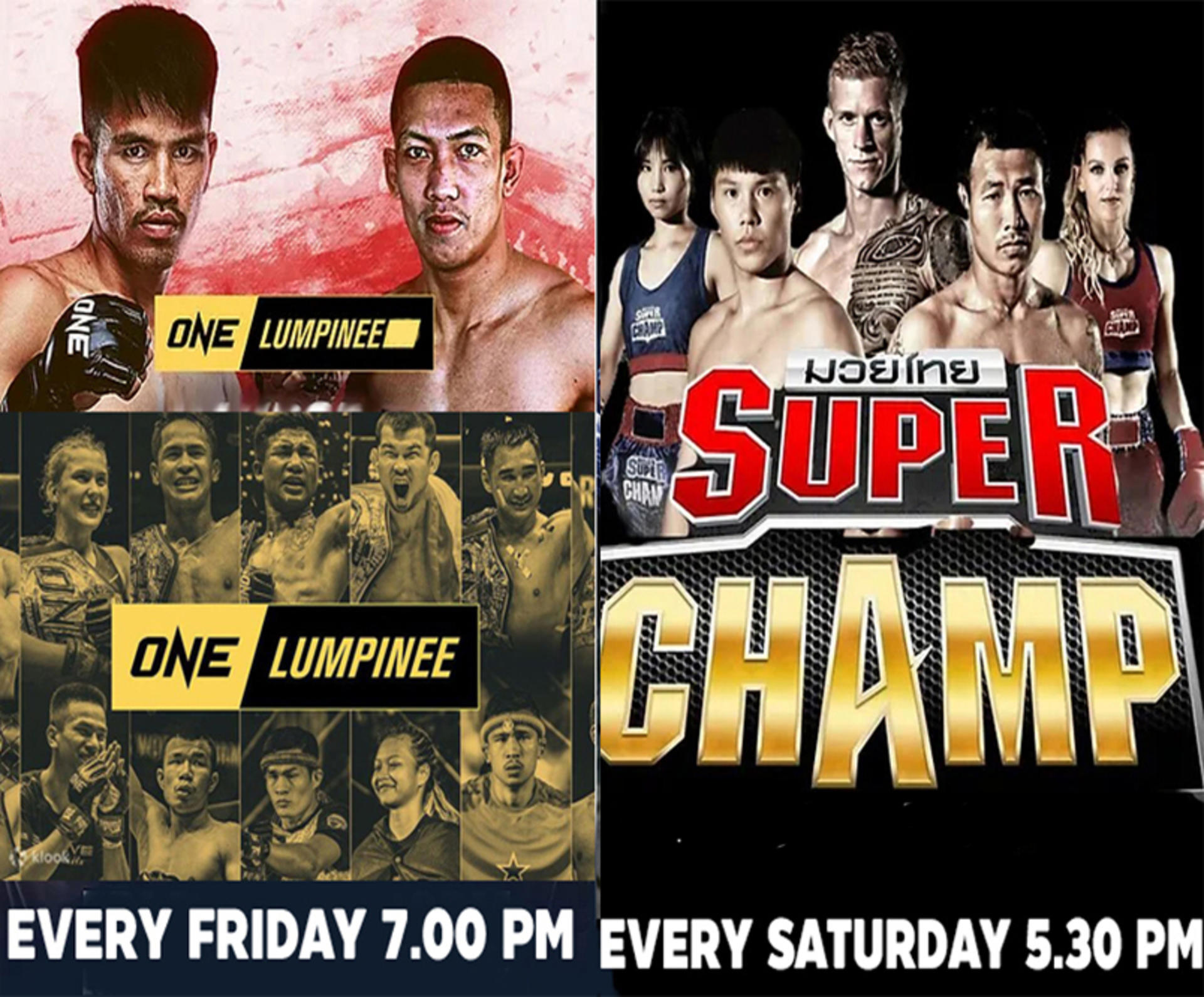 Muay Thai Match Ticket at Lumpinee Boxing Stadium - Thumbnail 8