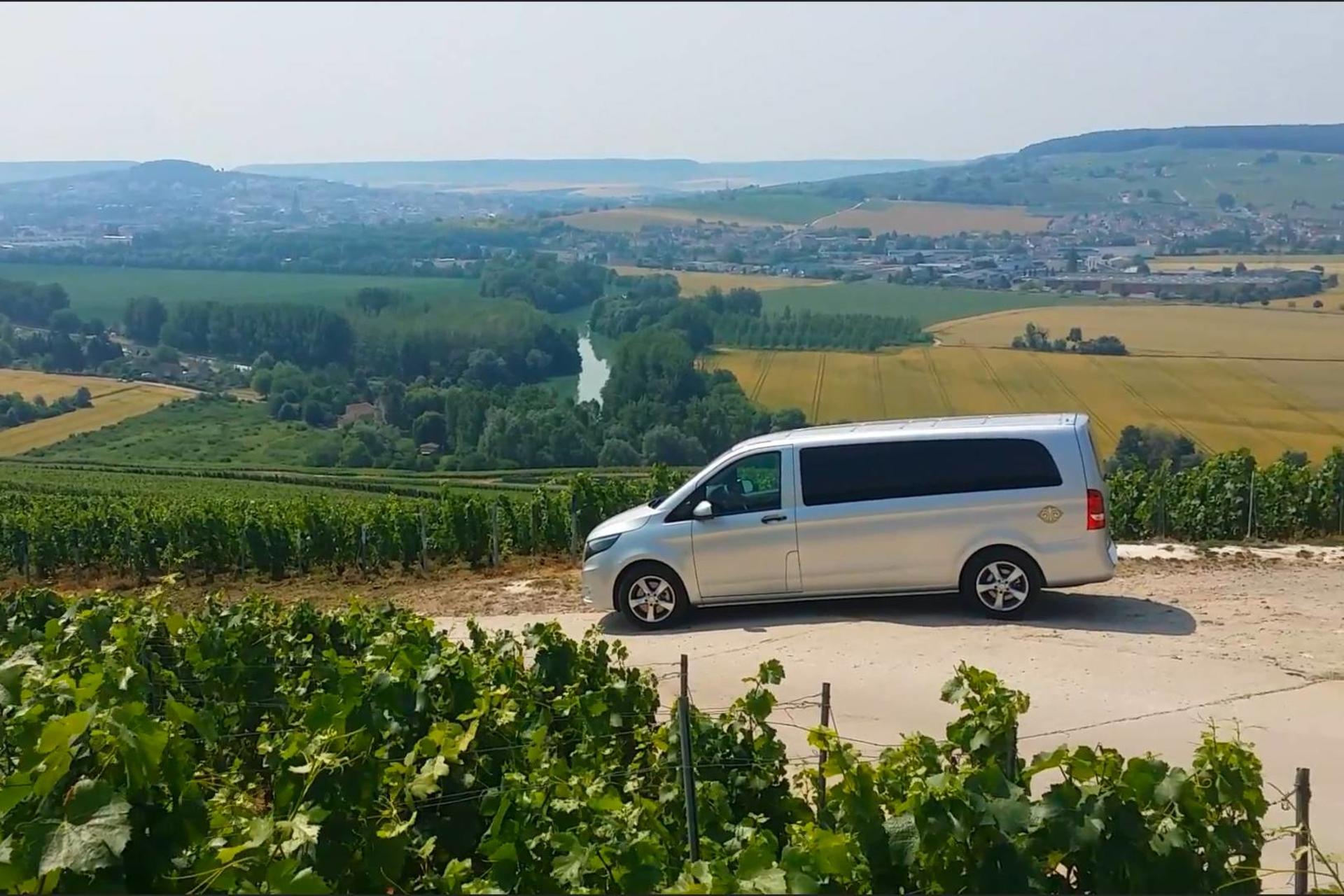 Champagne Tasting at three Family Estates Tour with Lunch from Reims - Thumbnail 8