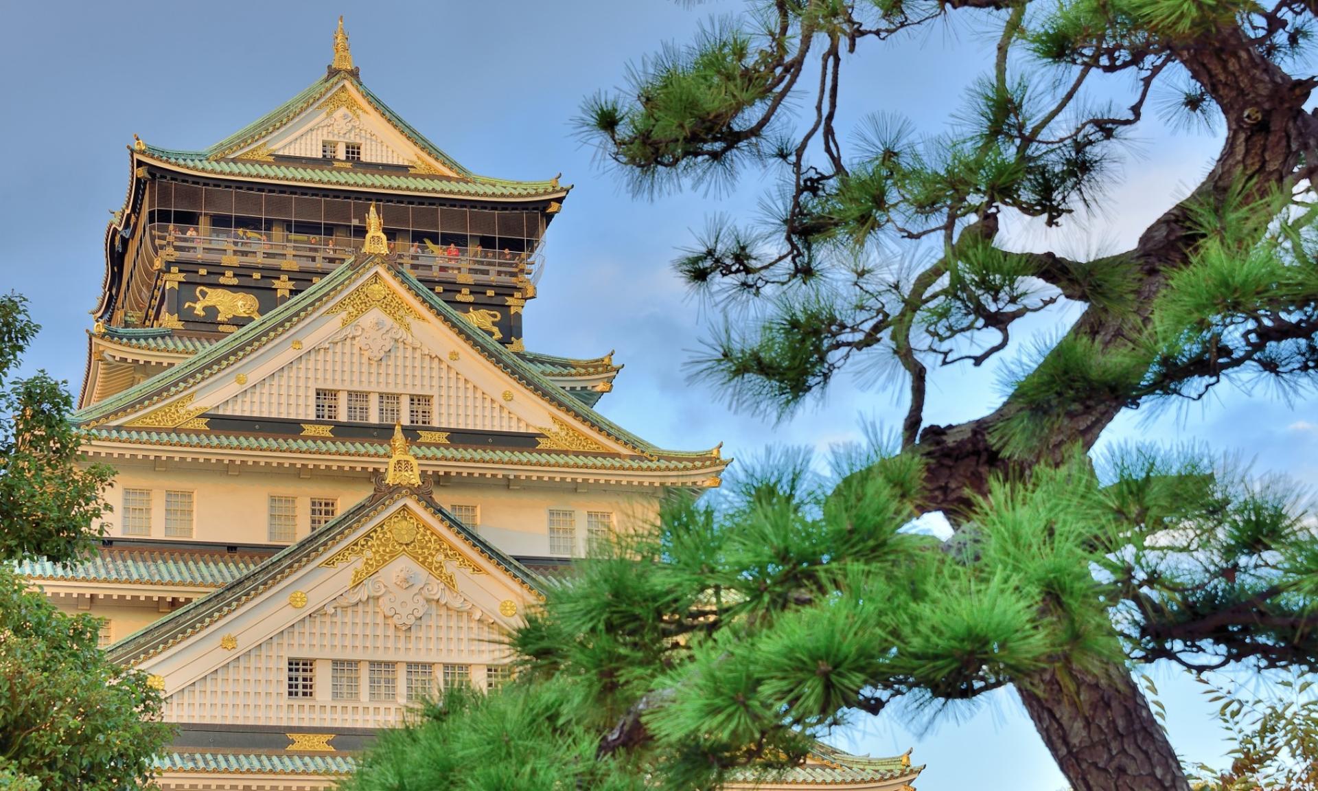 Osaka Castle Ticket - Thumbnail 4