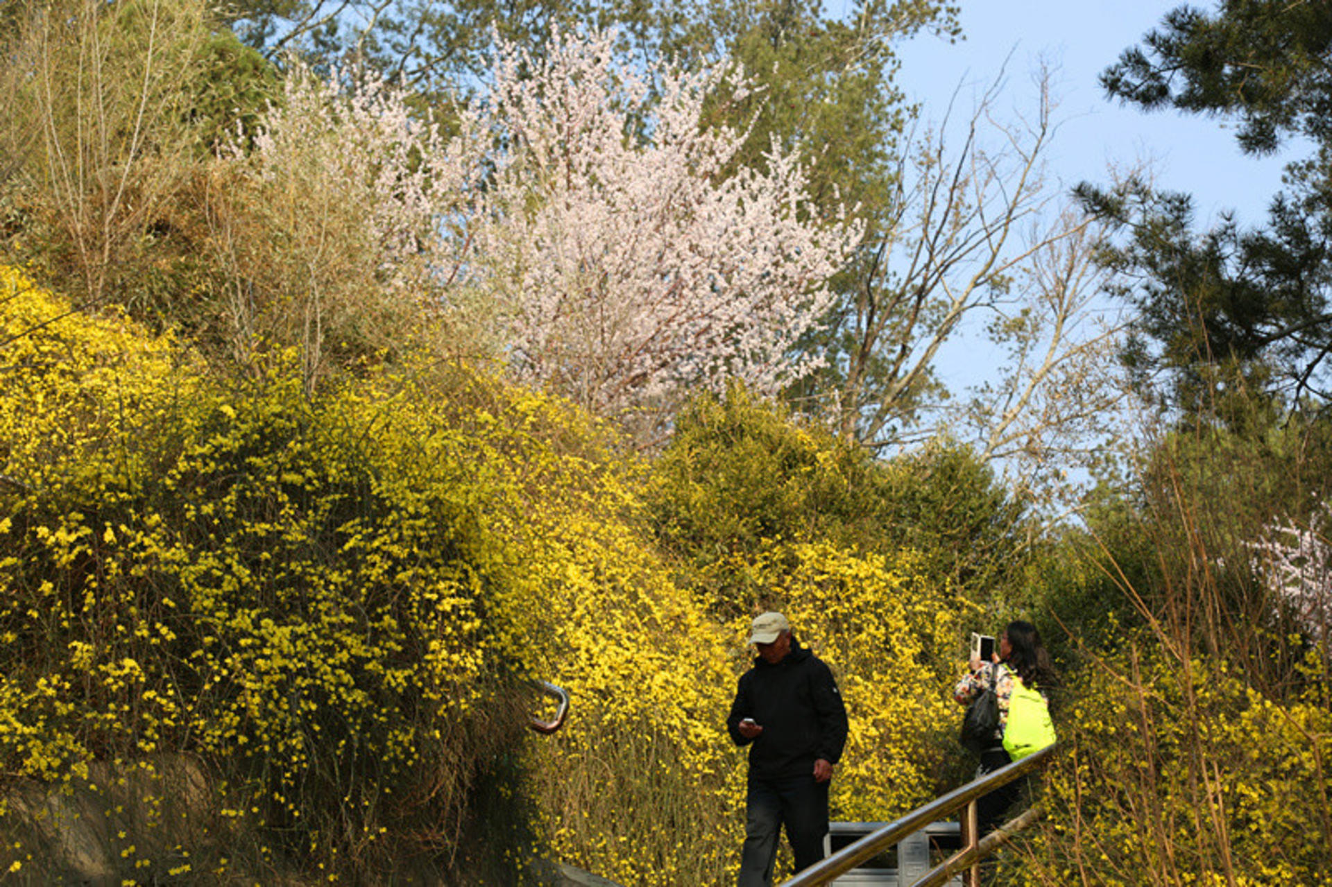 Jingshan Park Tickets - Thumbnail 4