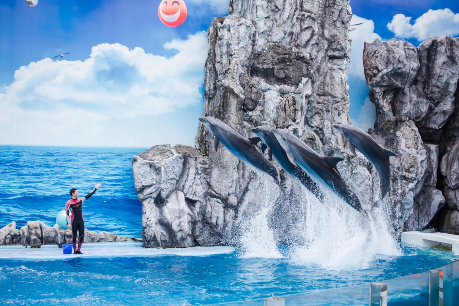 Bangkok Safari World & Chocolate Ville Full-Day Small Group Tour - Thumbnail 3