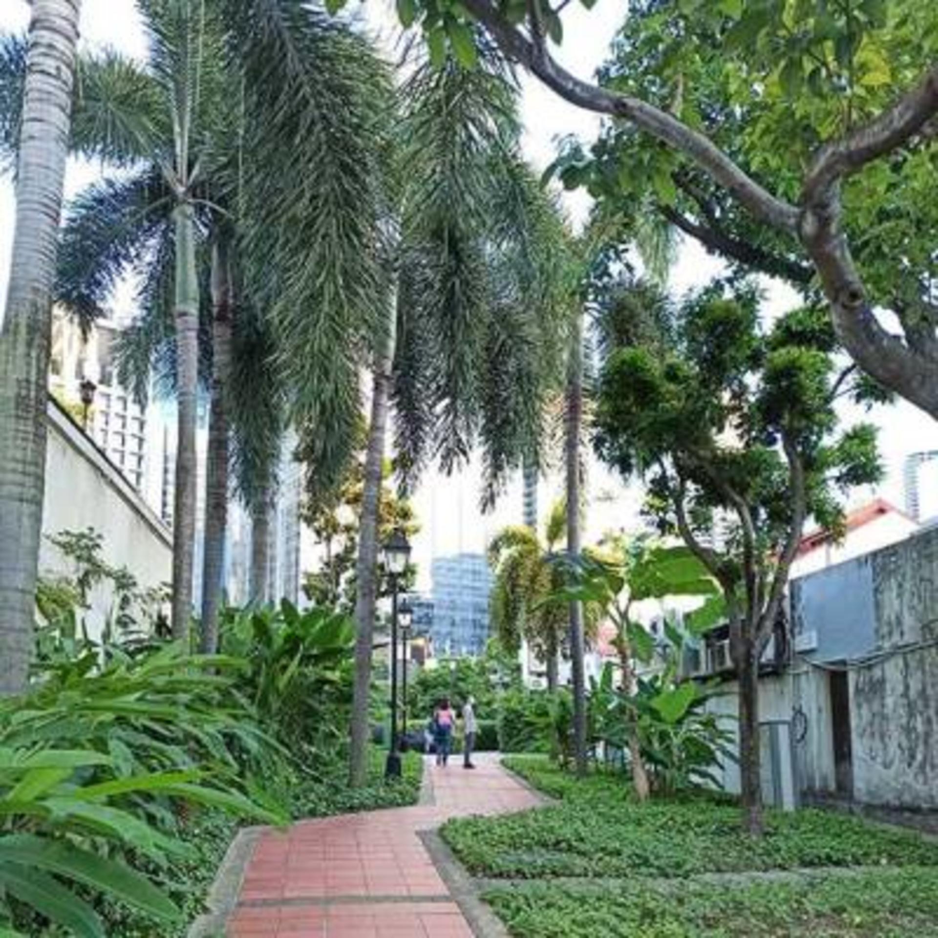 Street Murals and Heritage Tour in Singapore - Thumbnail 4