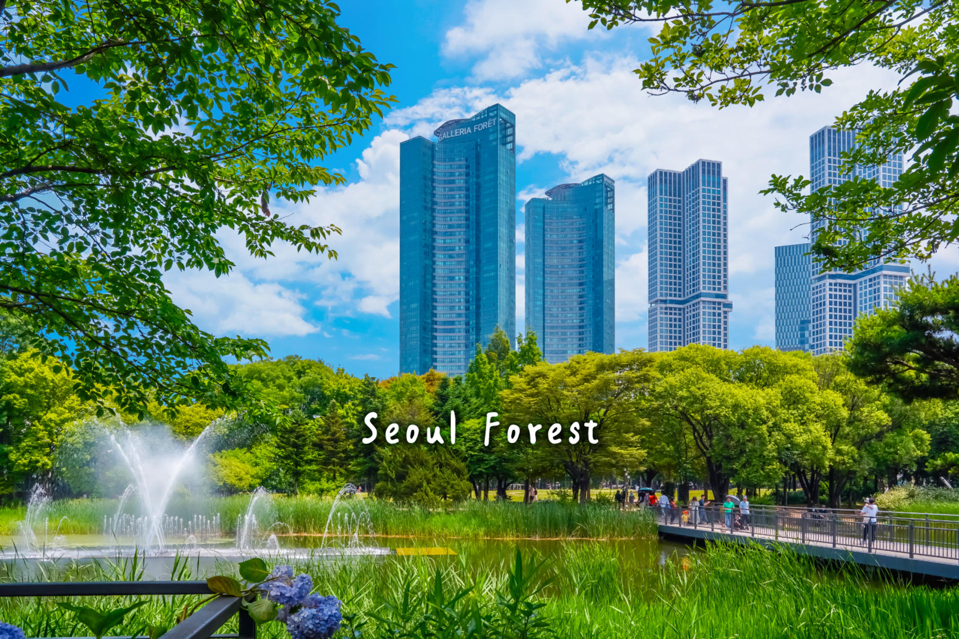 Seoul Seongdong-gu Half-Day Small Group City Highlights Tour - Thumbnail 4