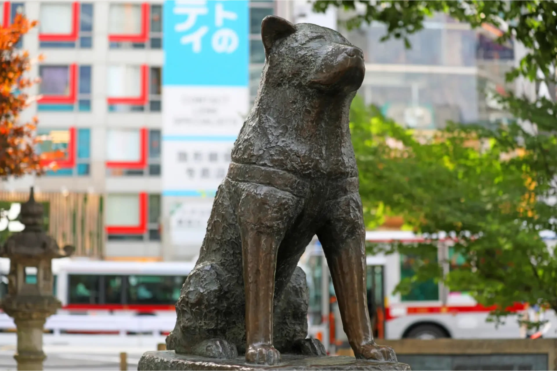 Tokyo City, Private One Day Tour with Hotel Pick up & Drop Off - Thumbnail 7